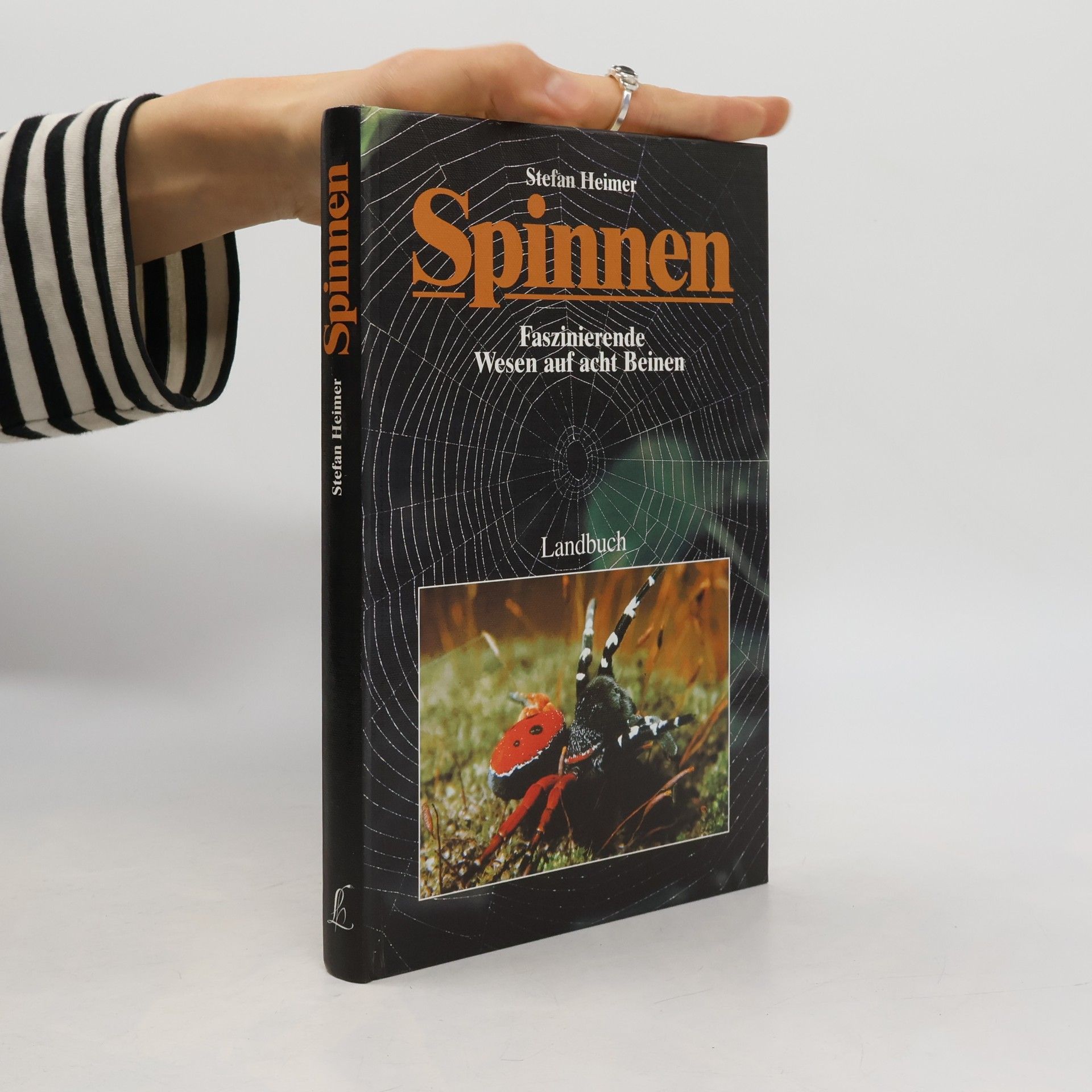 Stefan Heimer Spinnen