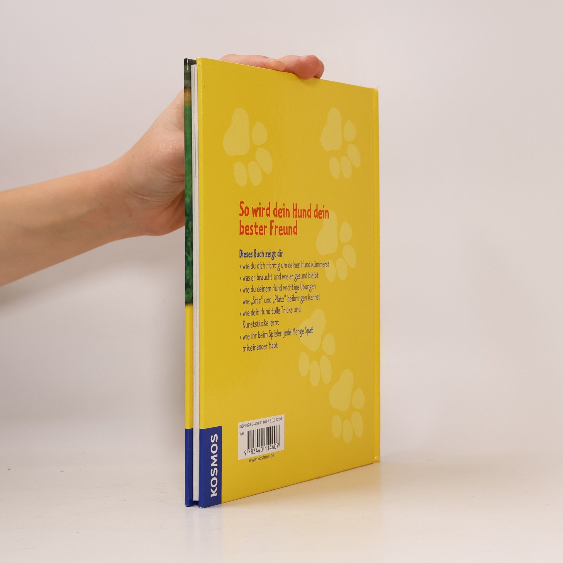 Sarah Whitehead Das Hundebuch für Kids