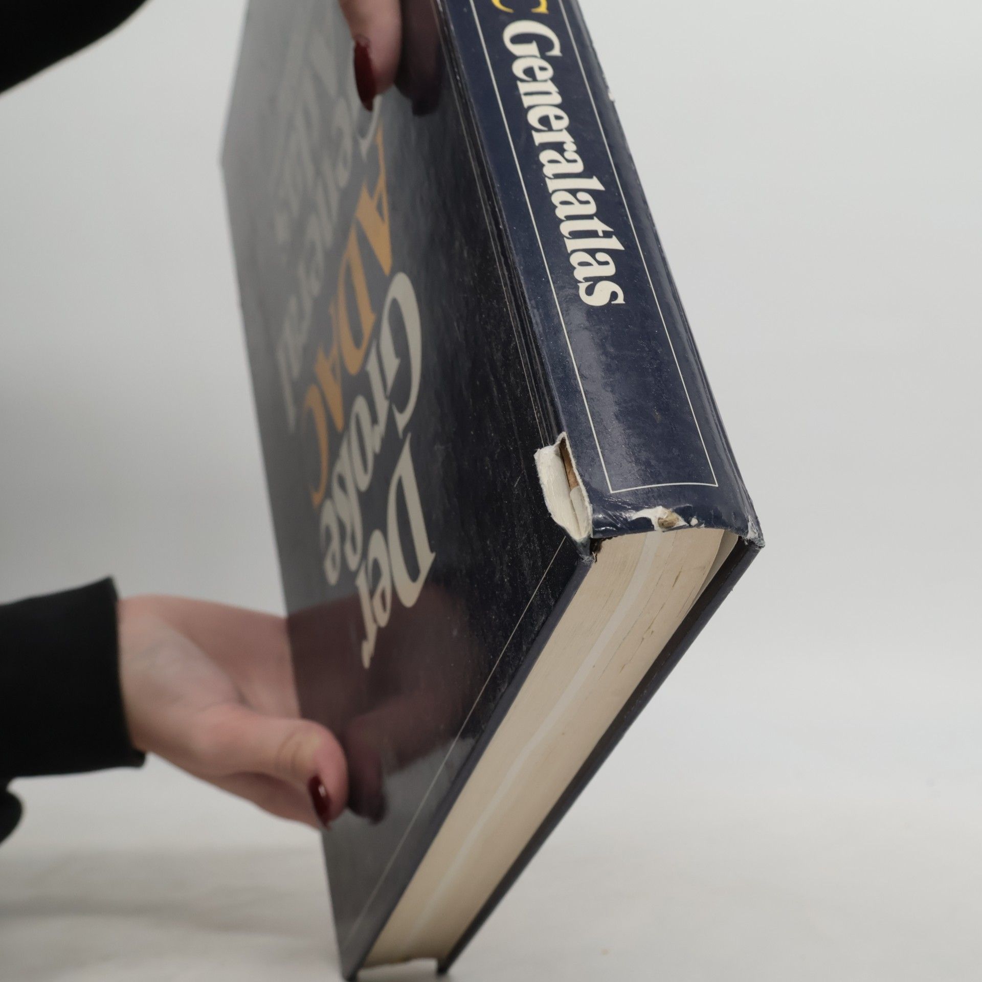 Der grosse ADAC-Generalatlas