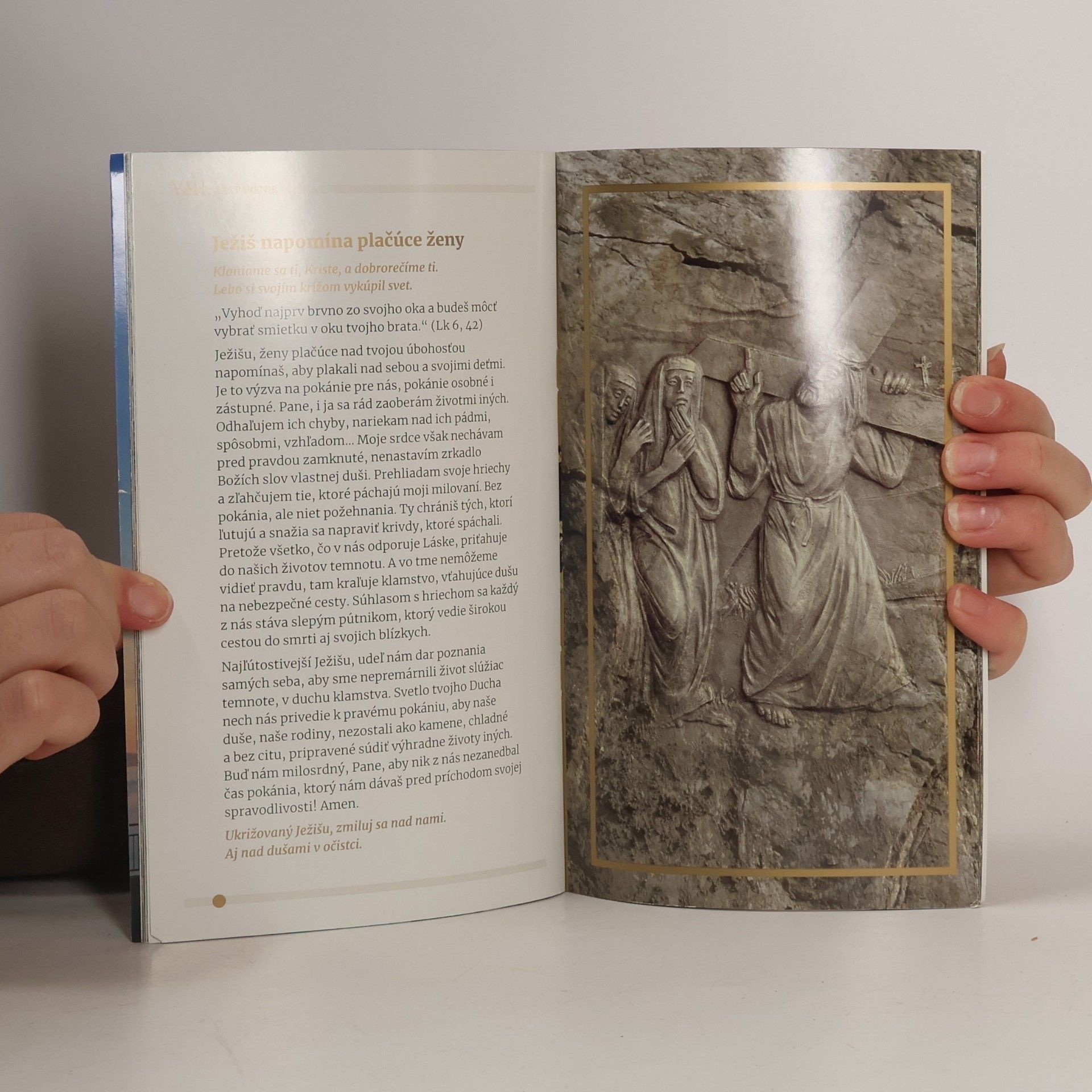 Vicenová Mária Křížová cesta Milosrdenstva za obnovu rodin