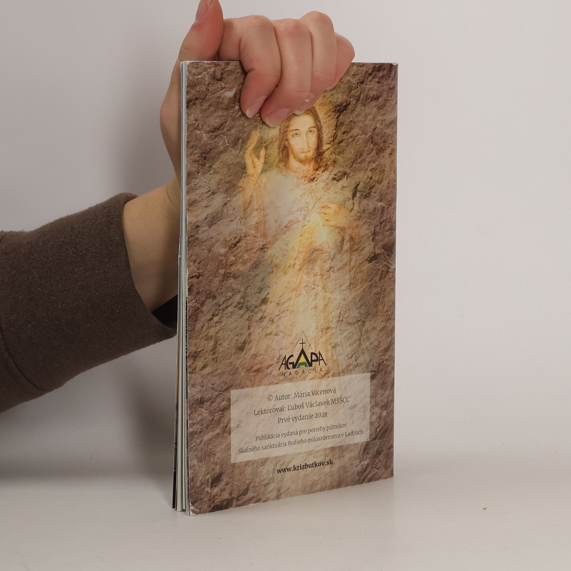 Vicenová Mária Křížová cesta Milosrdenstva za obnovu rodin
