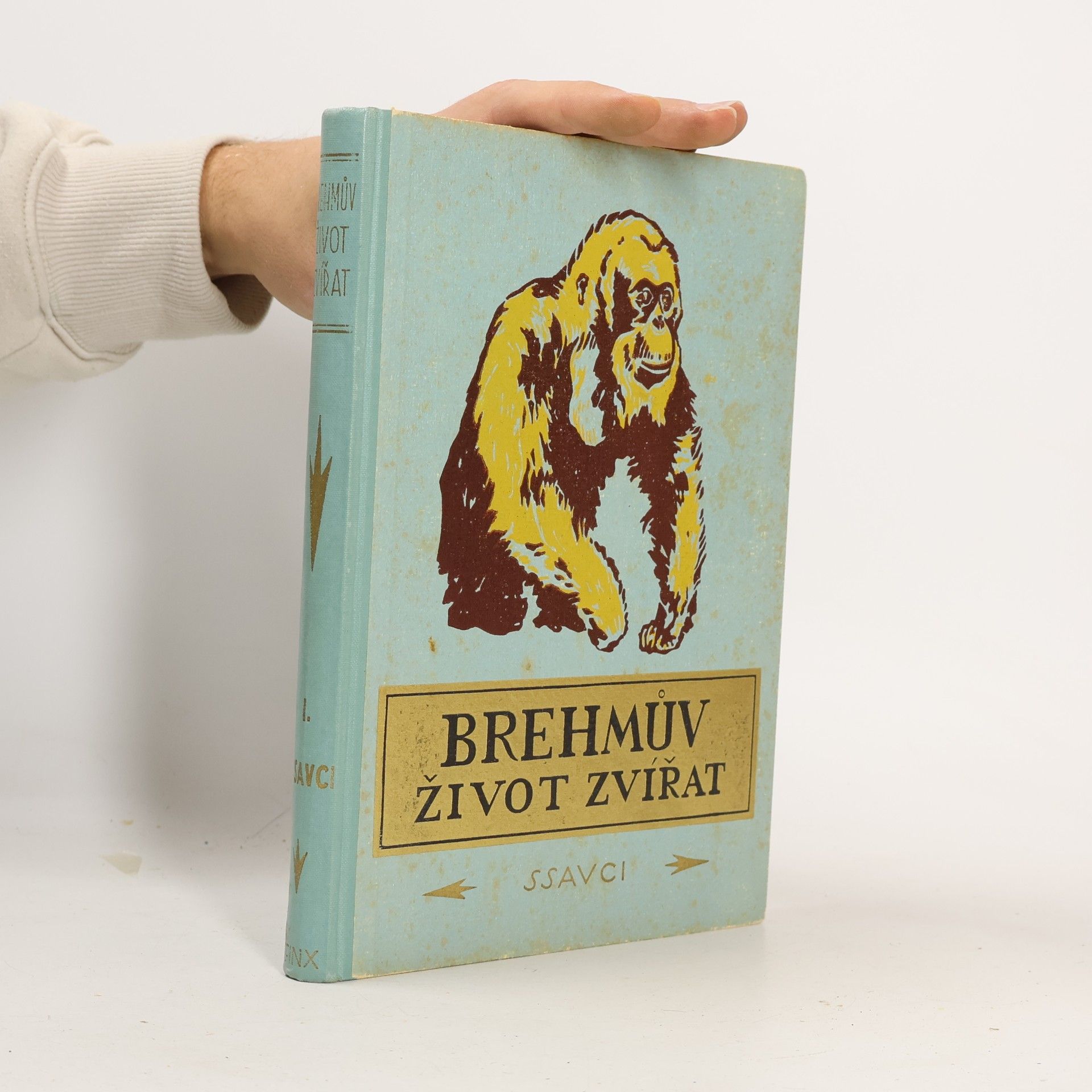 Brehmův život zvířat I. Ssavci