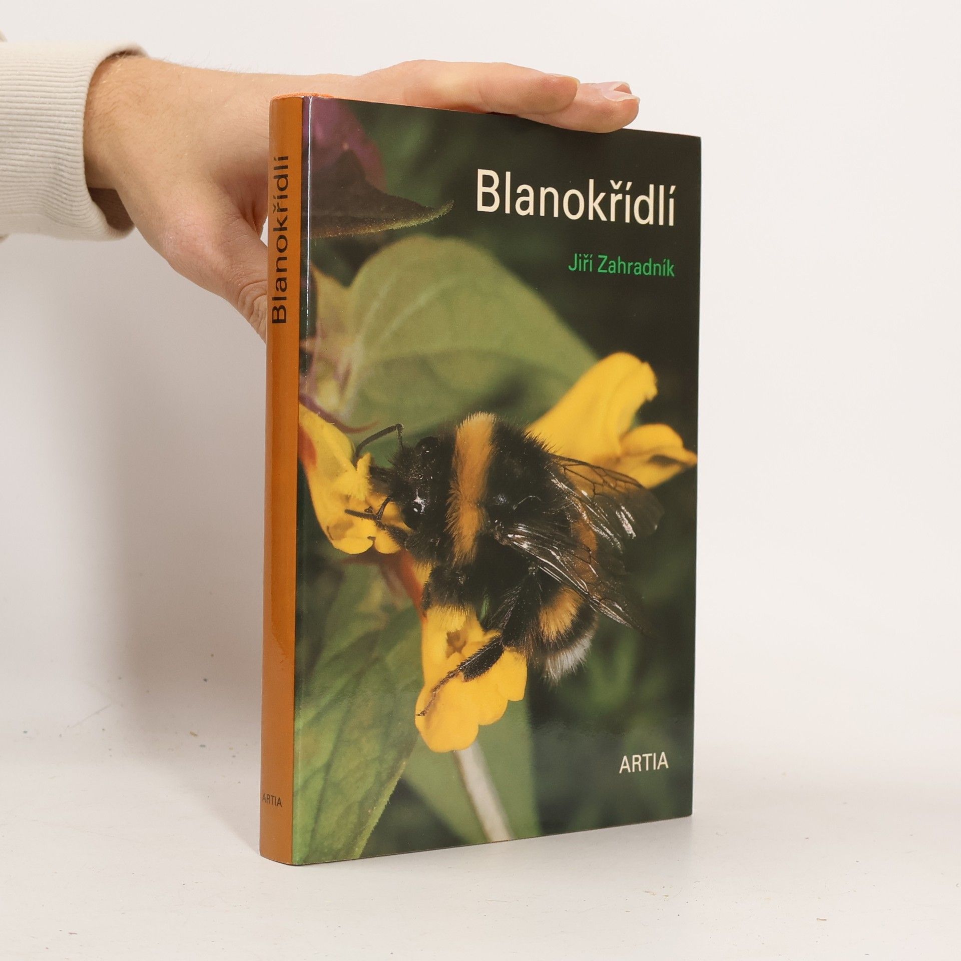 Blanokřídlí