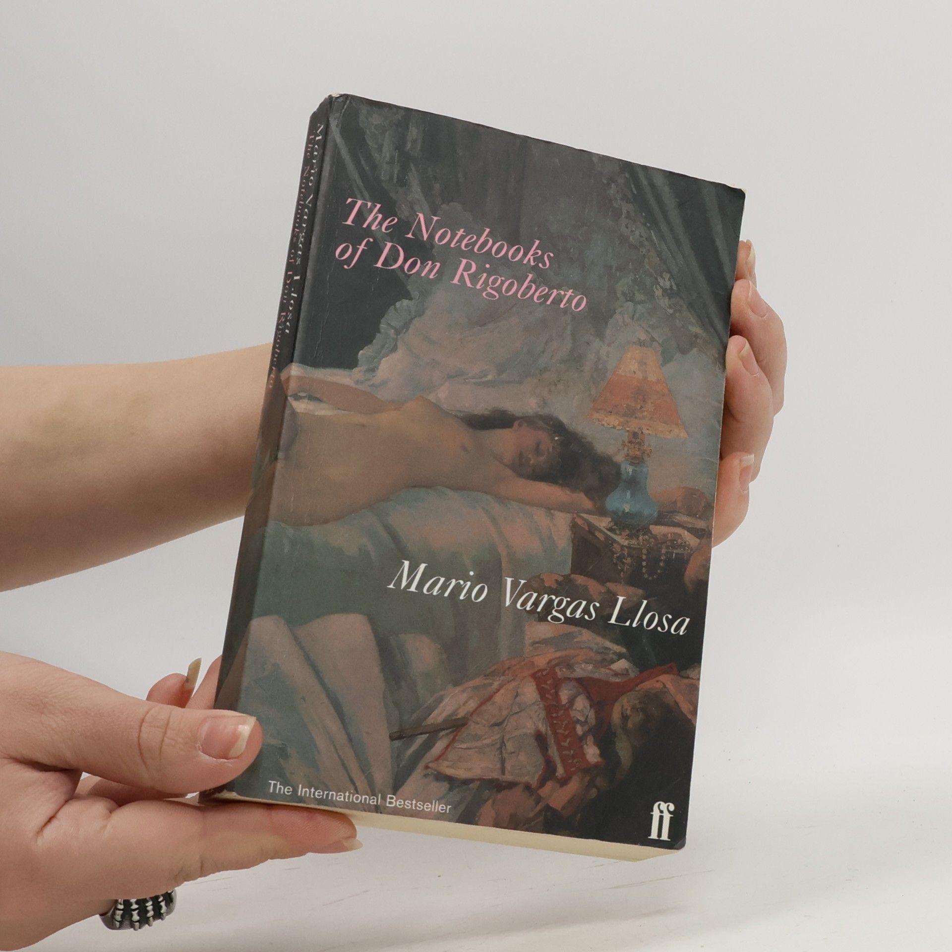 Mario Vargas Llosa The Notebooks of Don Rigoberto