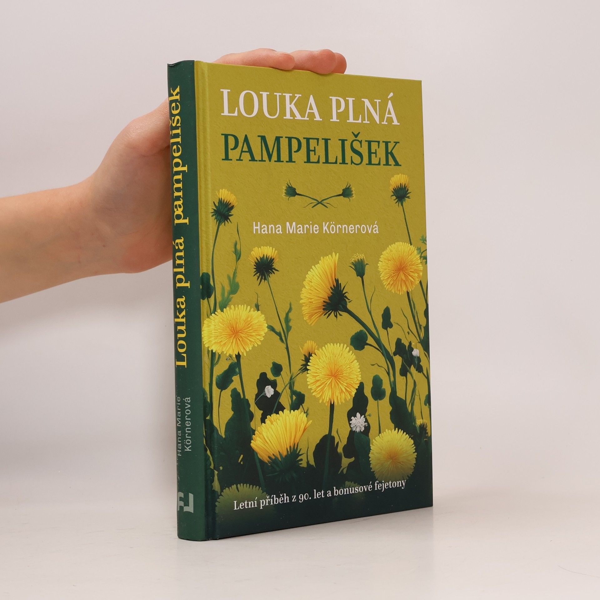 Louka plná pampelišek