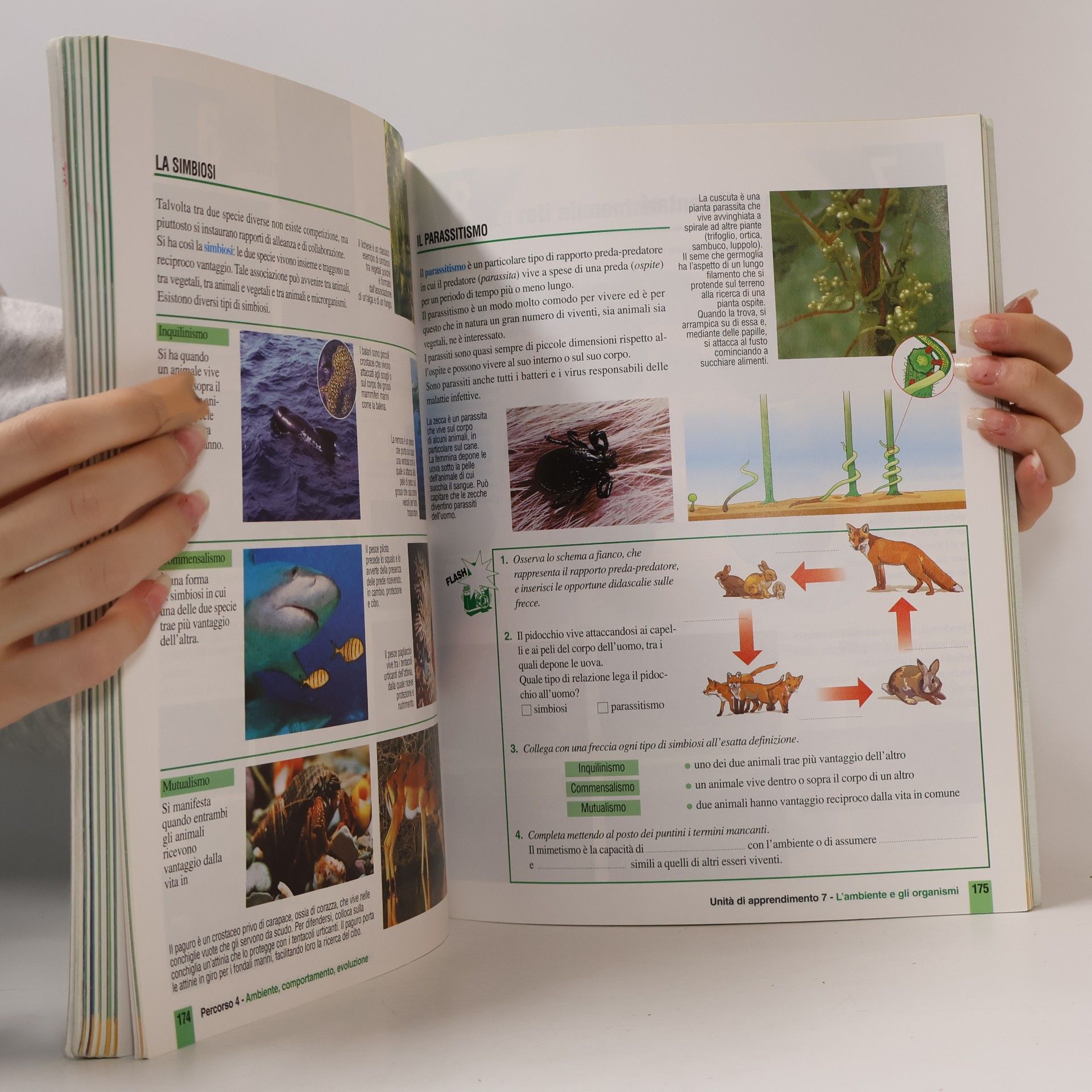 kolektiv Esplorare le Scienze 3