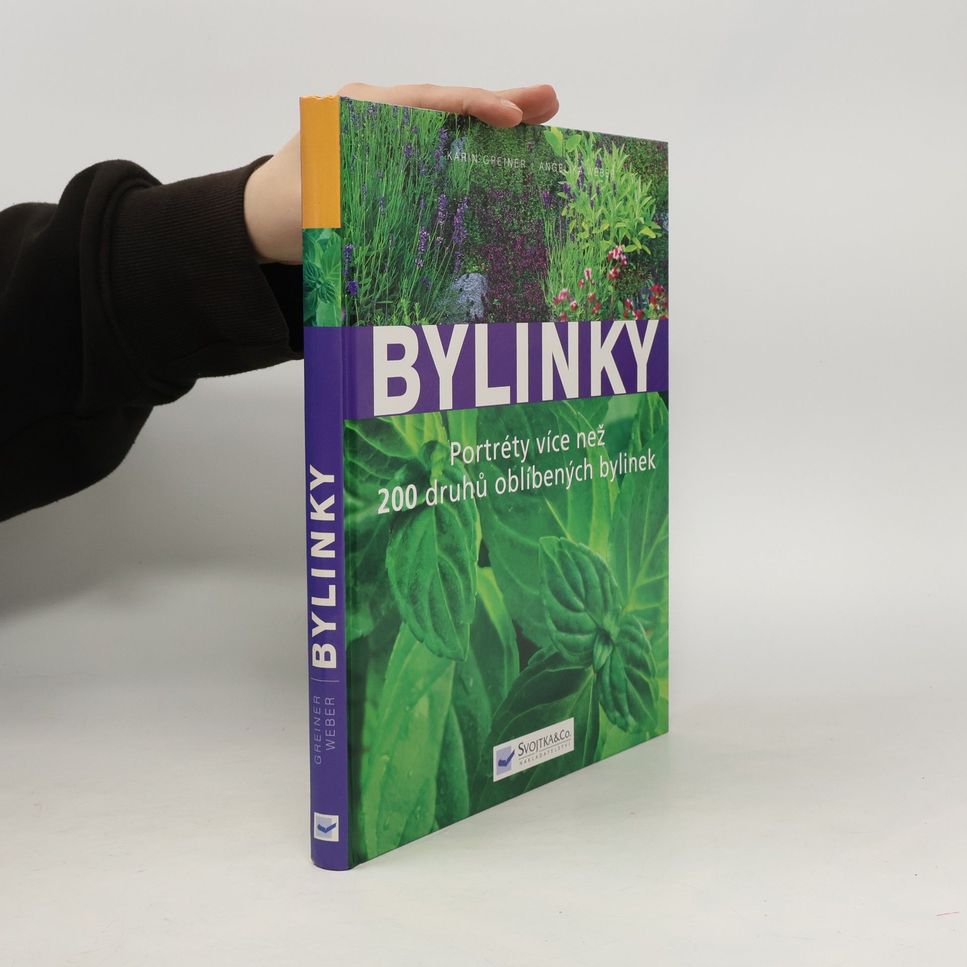 Bylinky: Nová přehledná kniha s portréty více než 200 druhů oblíbených bylinek