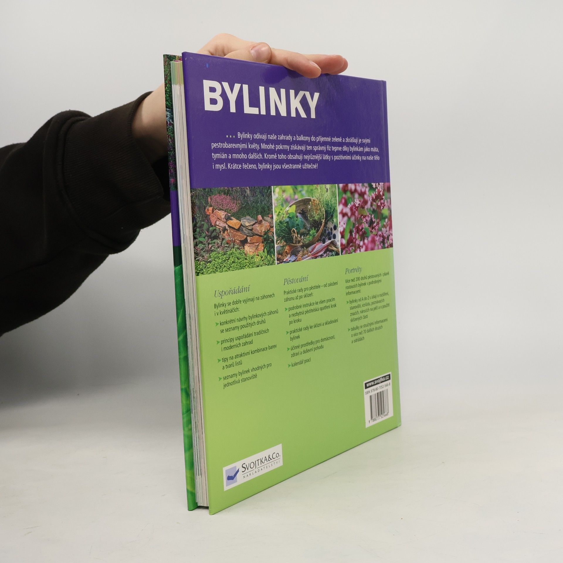 Karin Greiner Bylinky: Nová přehledná kniha s portréty více než 200 druhů oblíbených bylinek