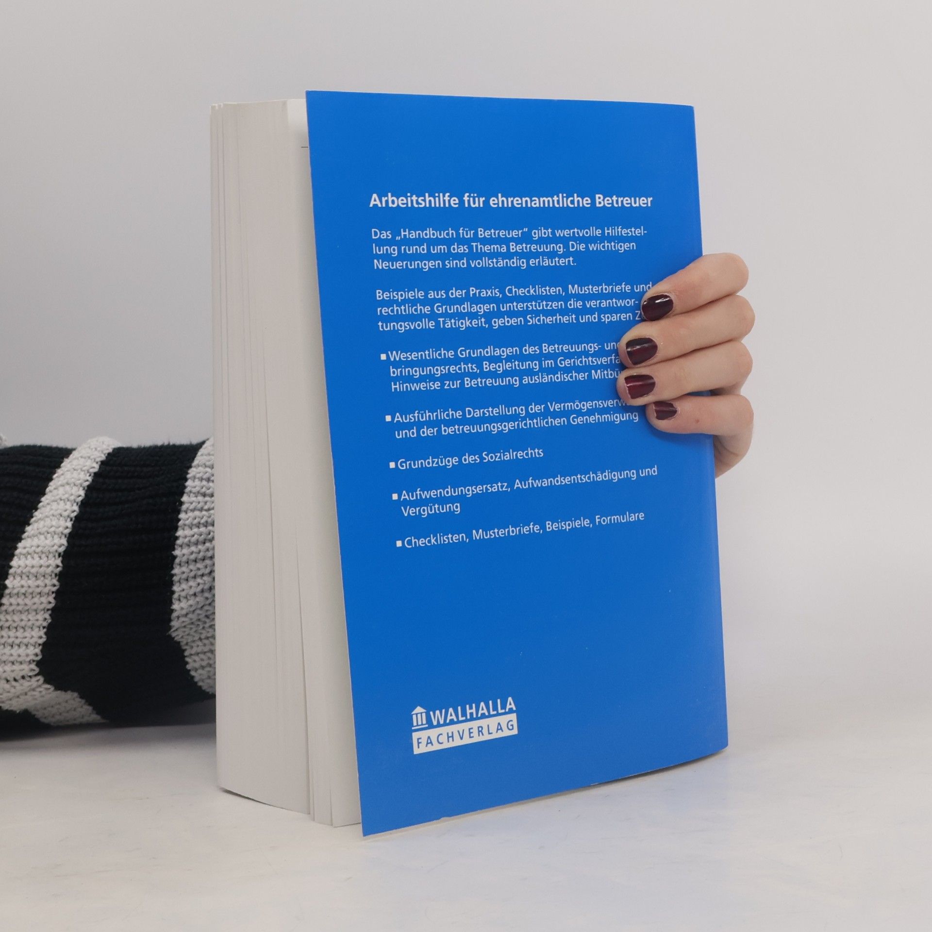 Horst Böhm Handbuch für Betreuer