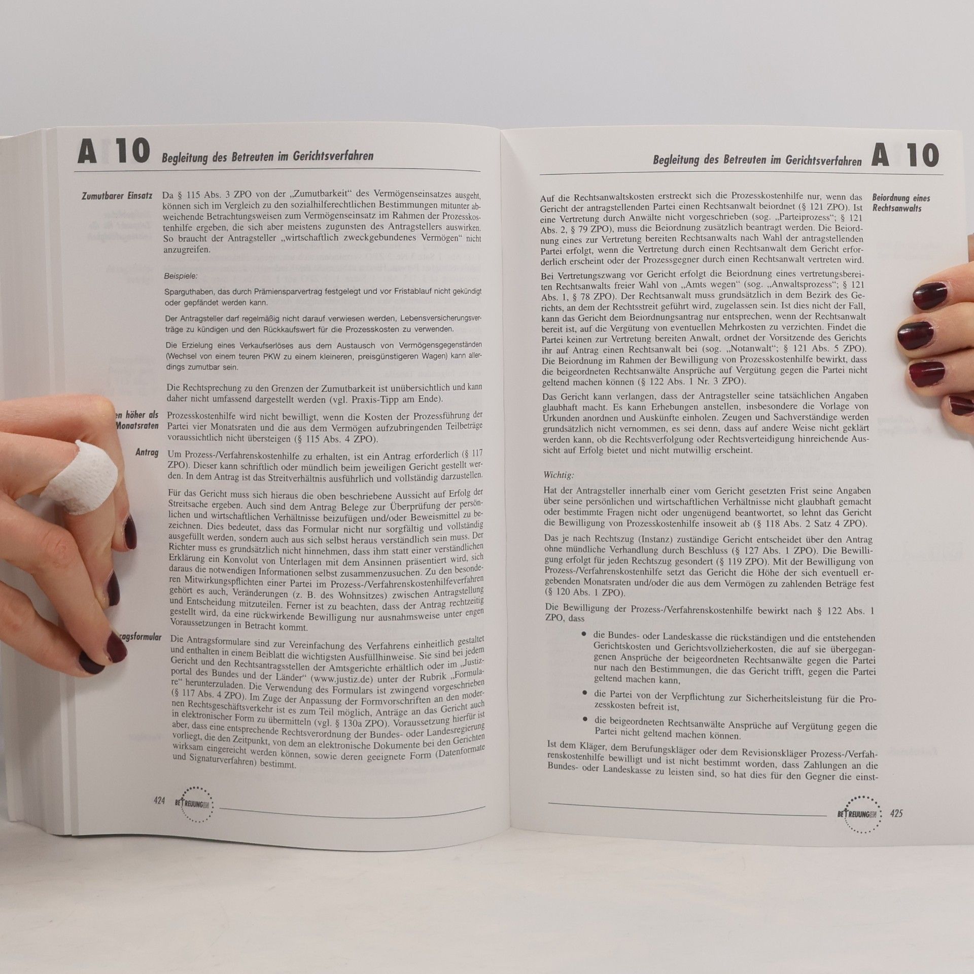 Horst Böhm Handbuch für Betreuer