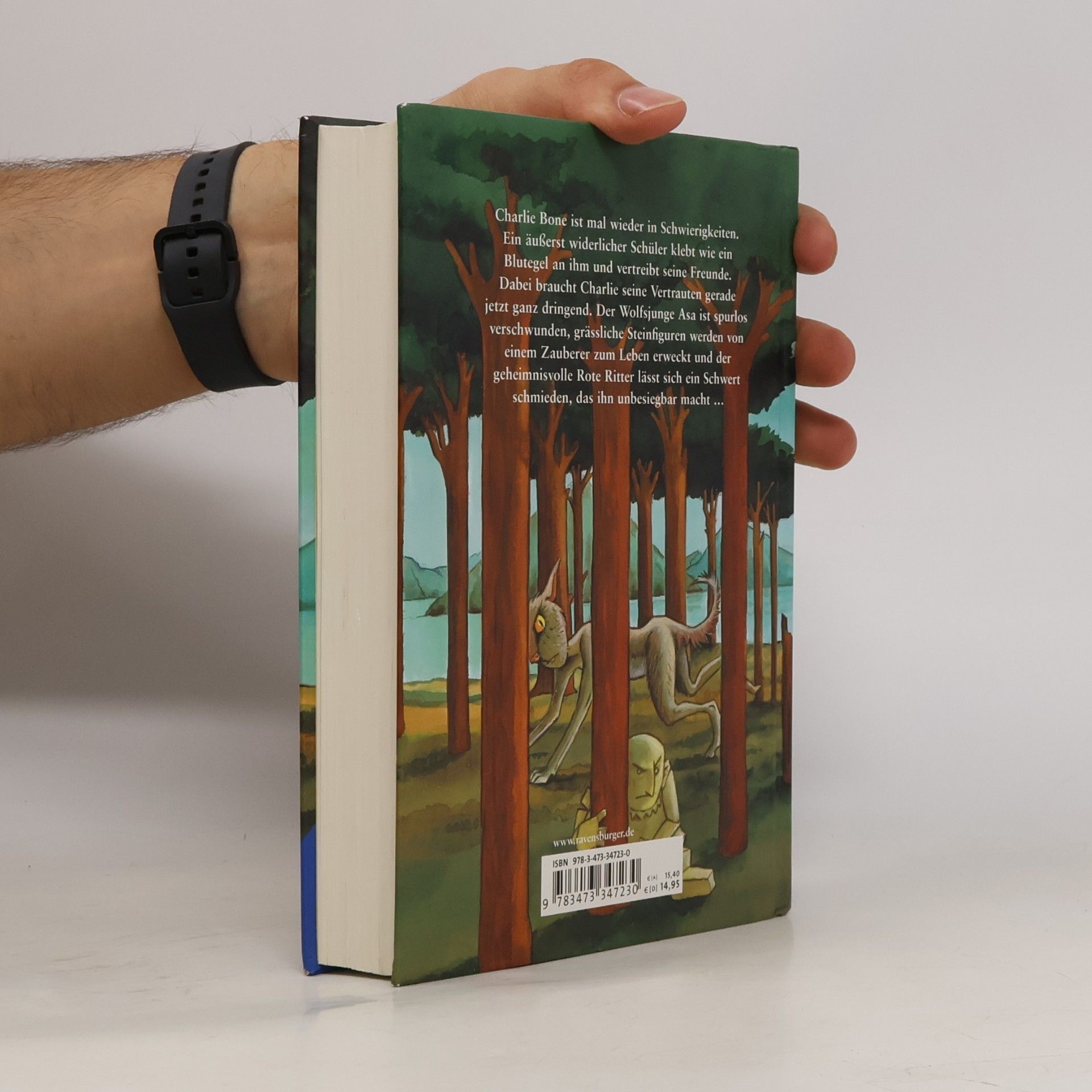 Jenny Nimmo Charlie Bone und das magische Schwert