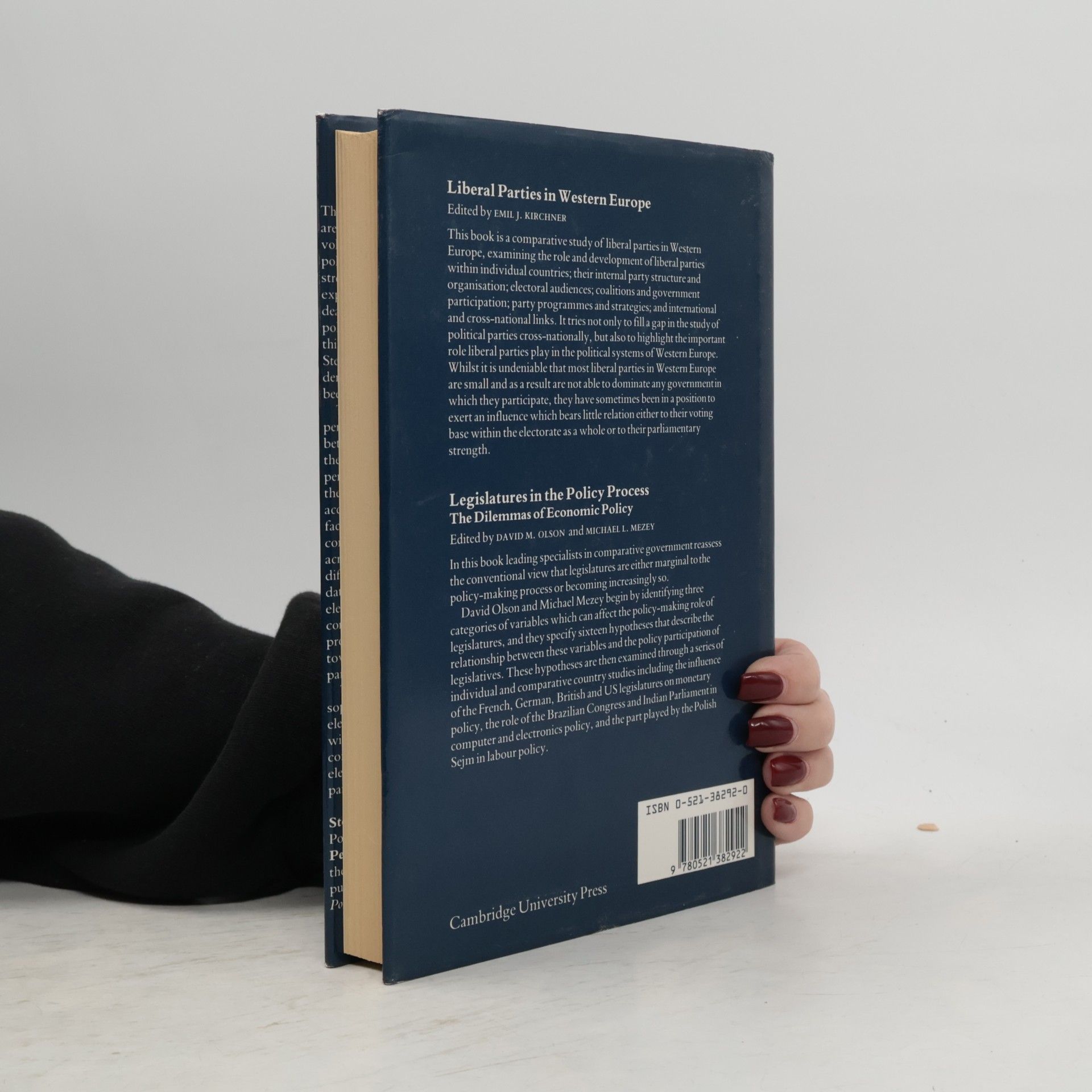 Stefano Bartolini Identity, Competition and Electoral Availability