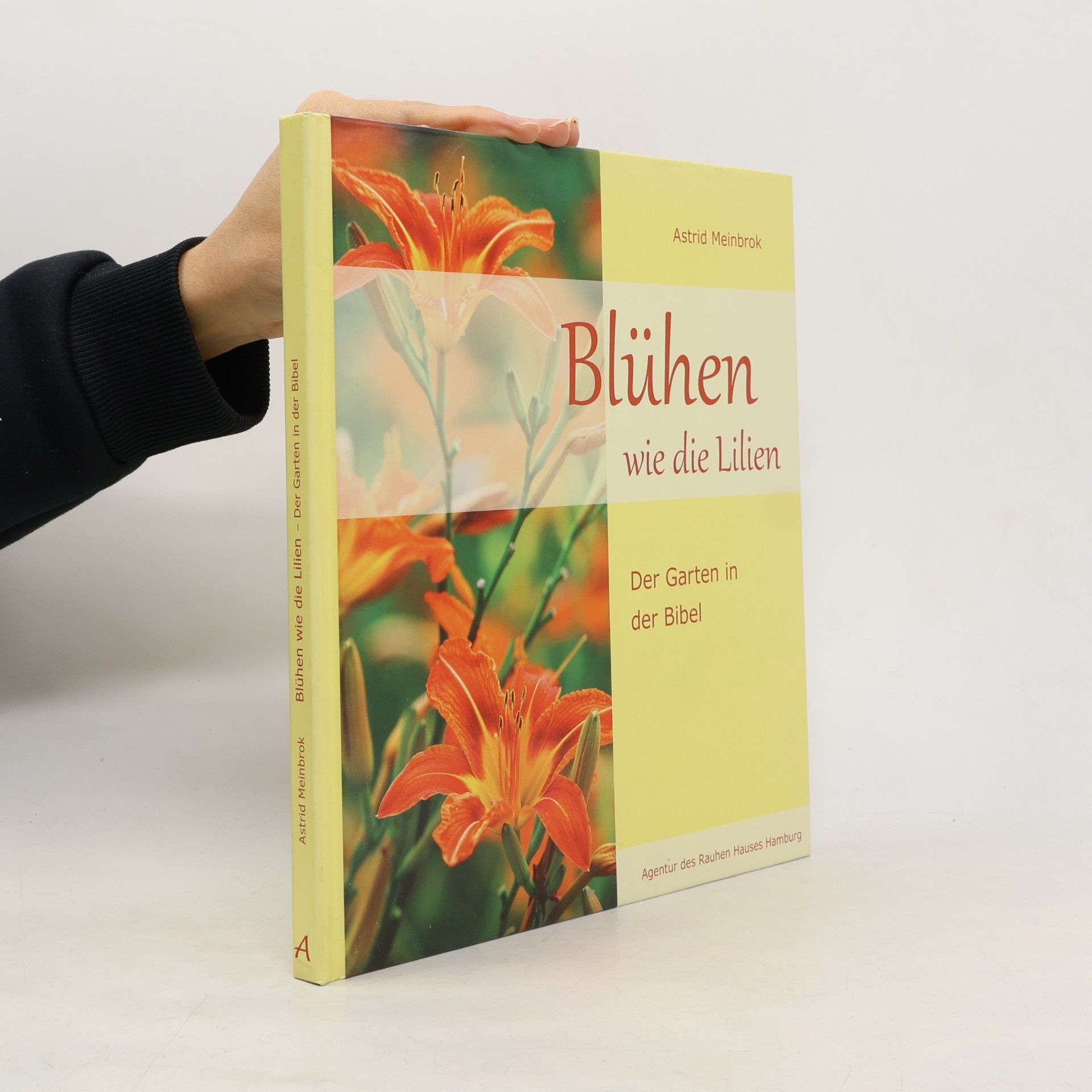 Astrid Meinbrok Blühen wie die Lilien
