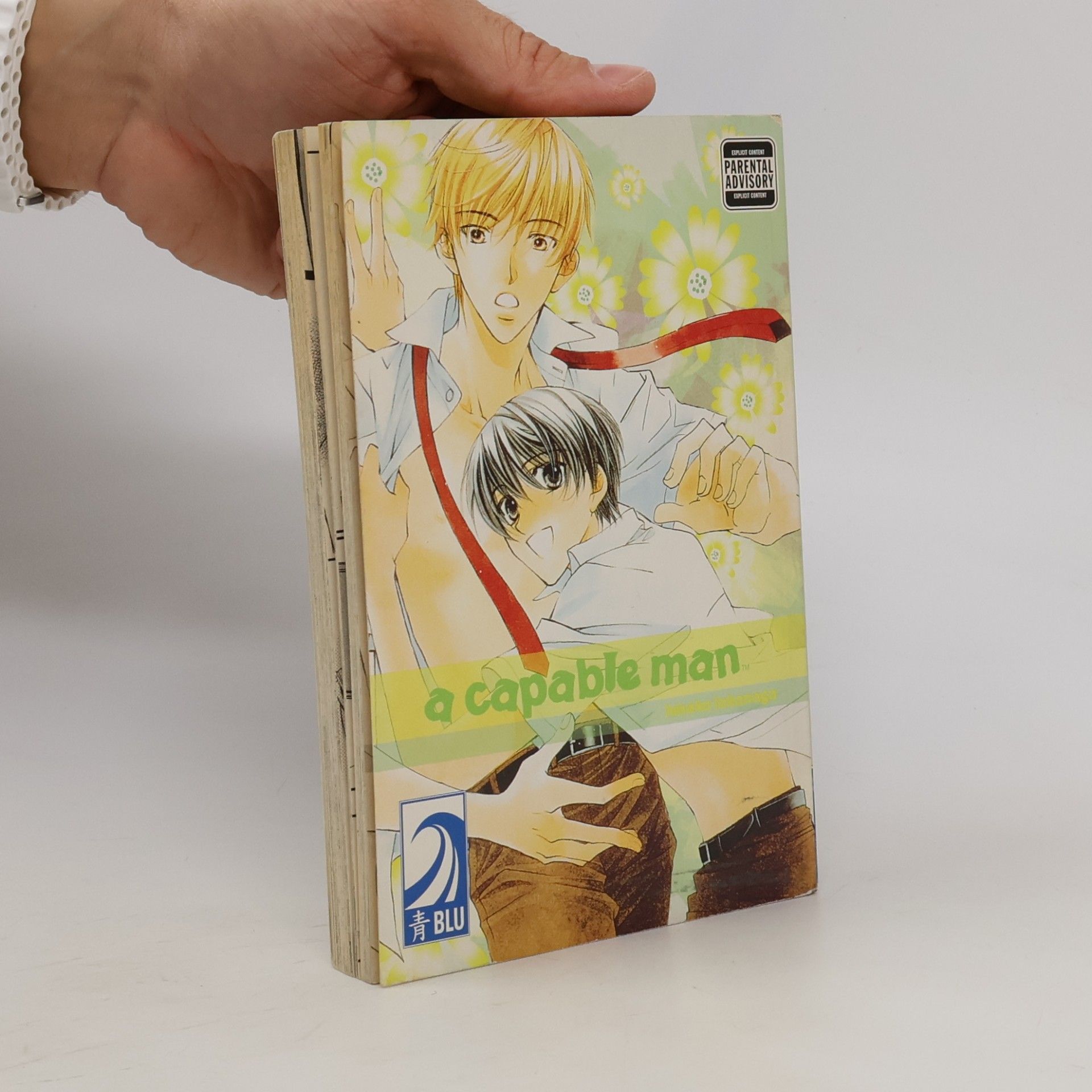 Hinako Takanaga A Capable Man
