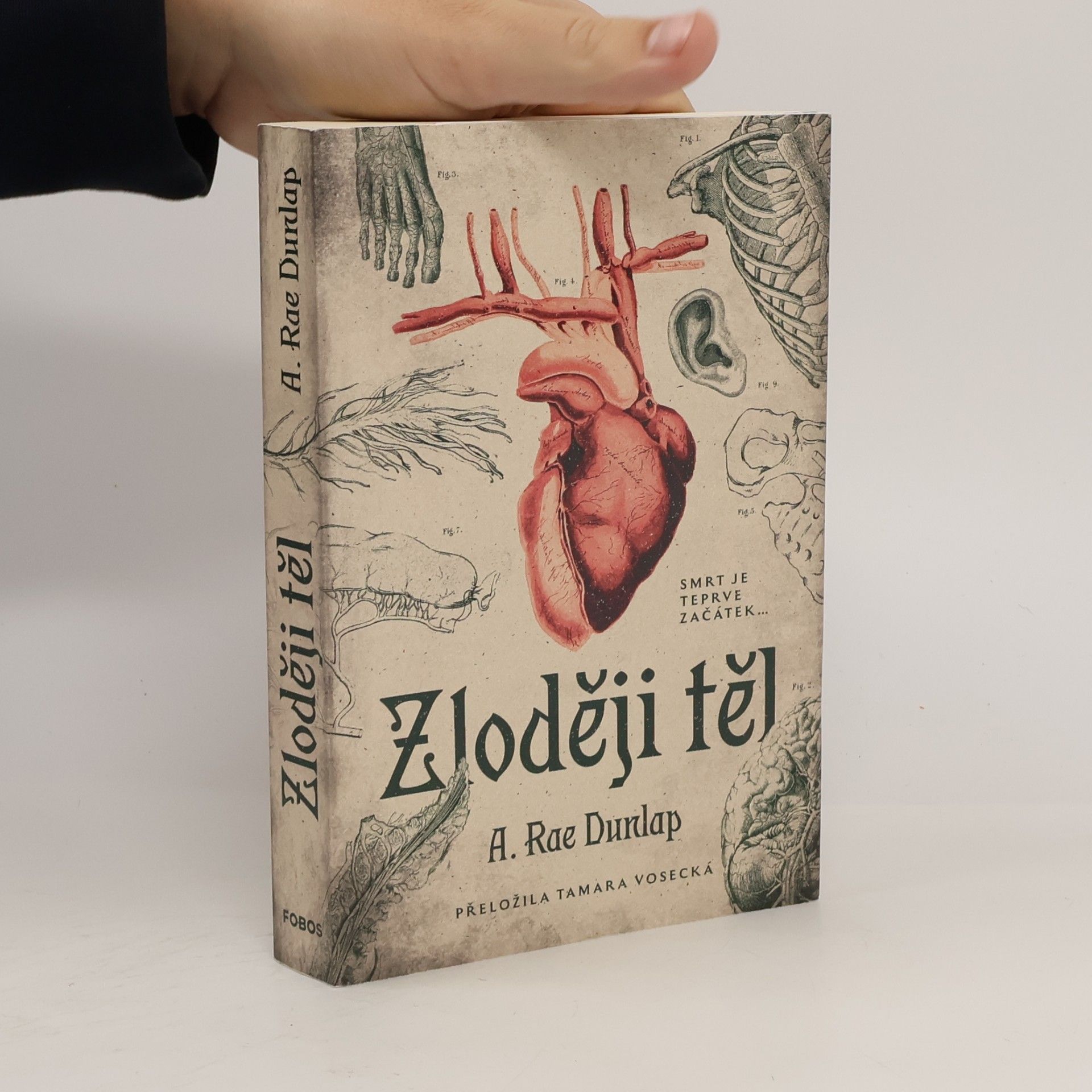 Zloději těl