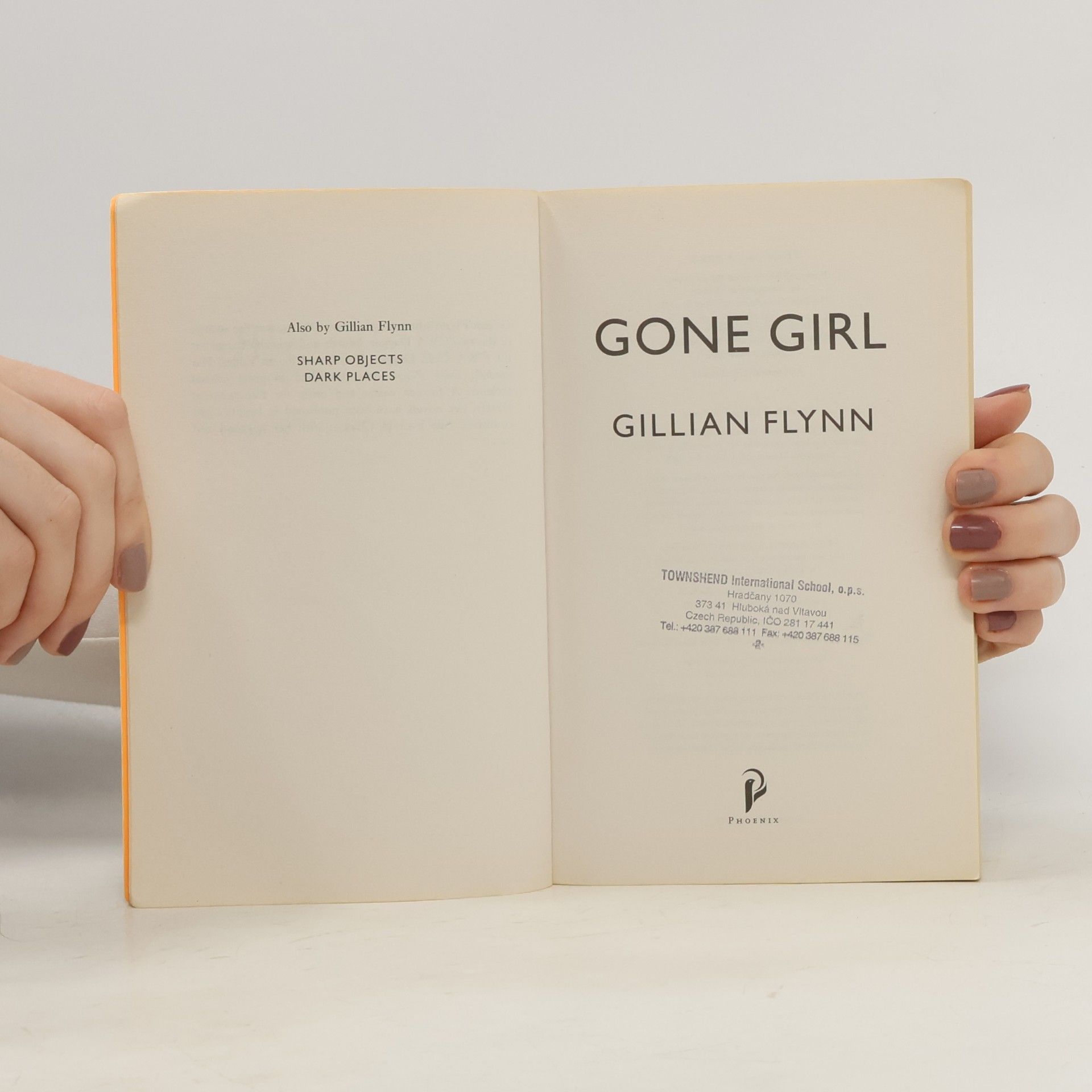 Gillian Flynn Gone Girl
