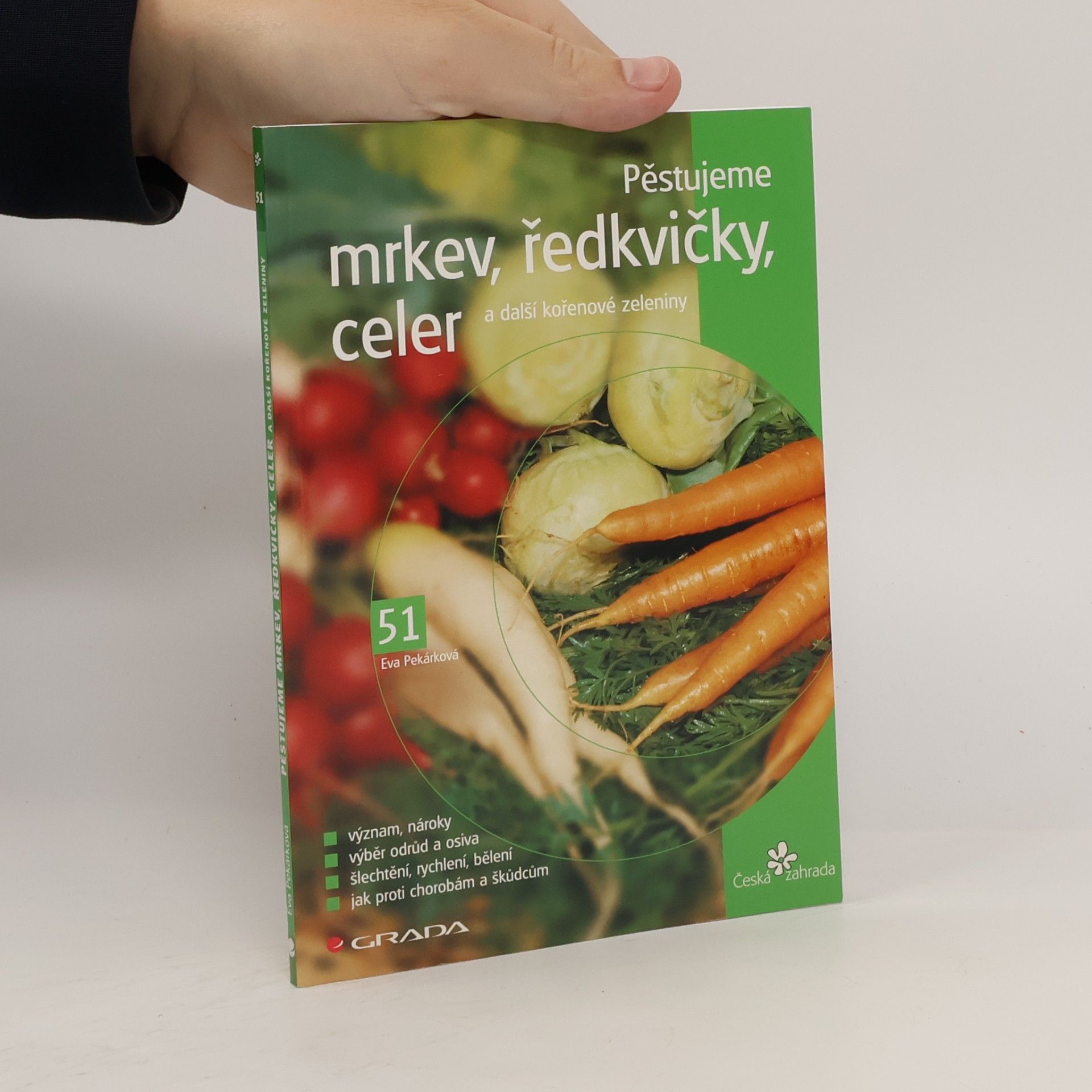 Pěstujeme mrkev, ředkvičky, celer a další kořenové zeleniny