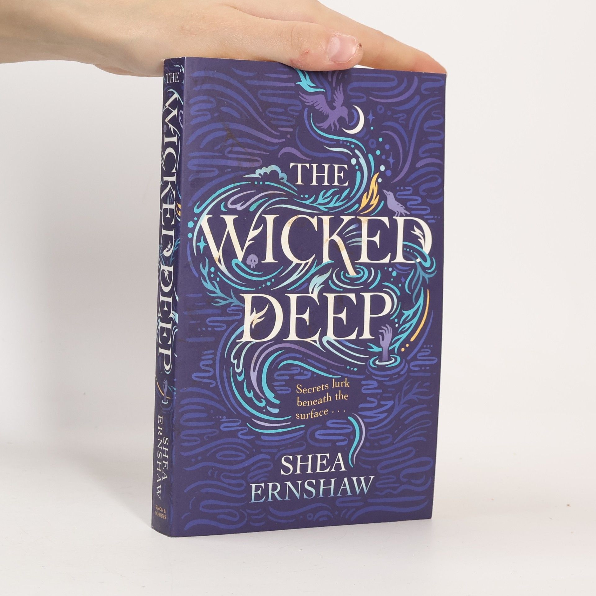 Shea Ernshaw The Wicked Deep