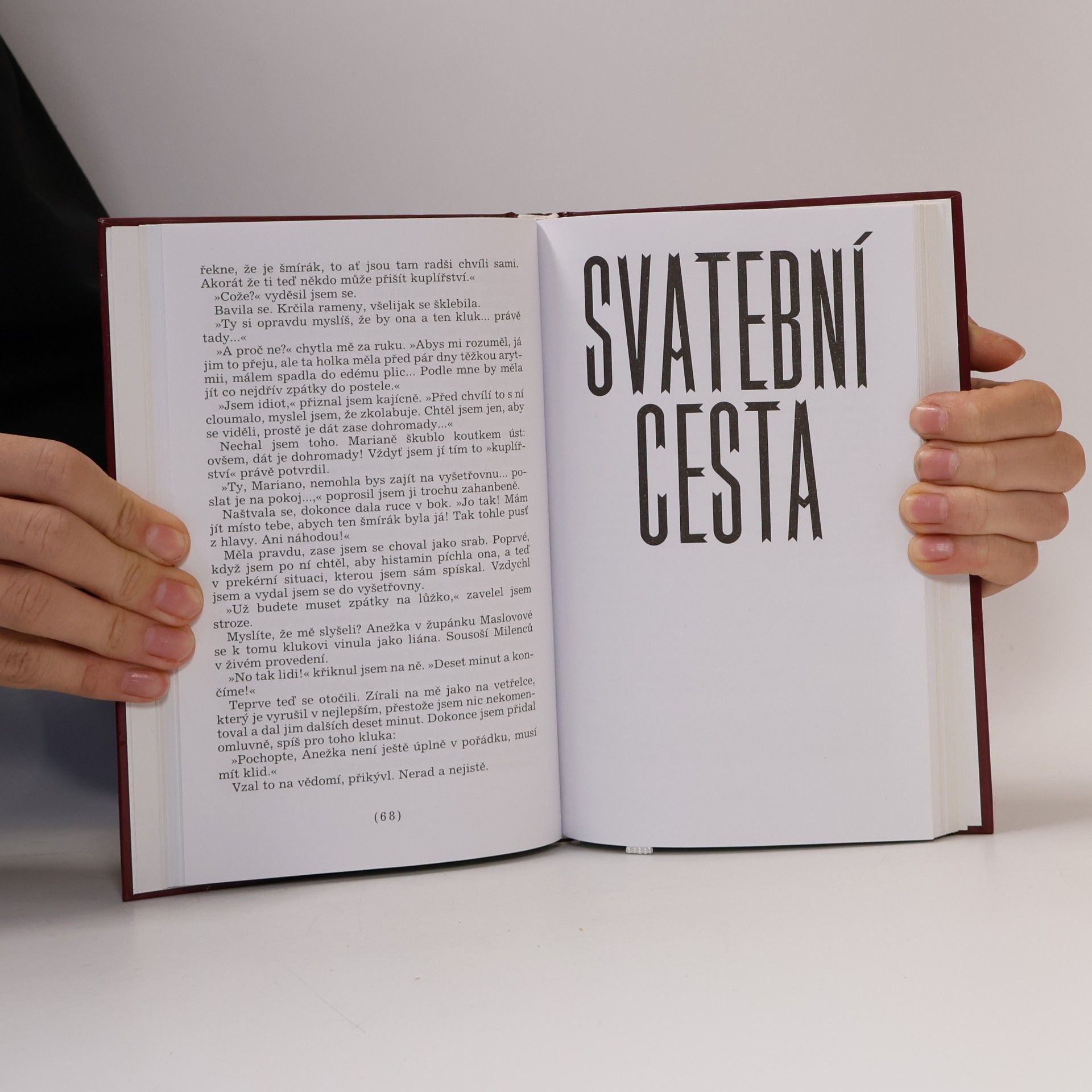 Valja Stýblová Most aeskulapů