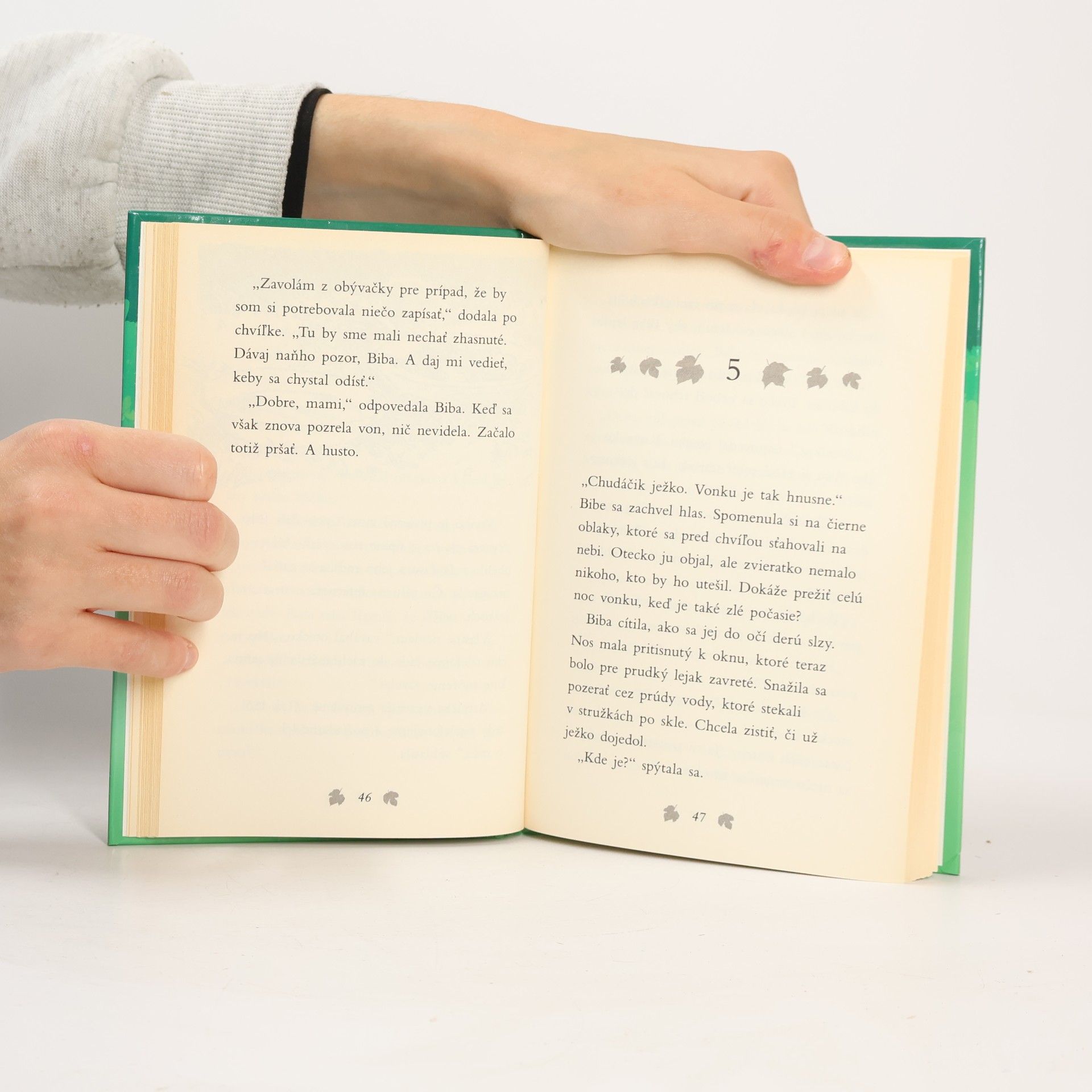 Jill Hucklesby Opustený ježko