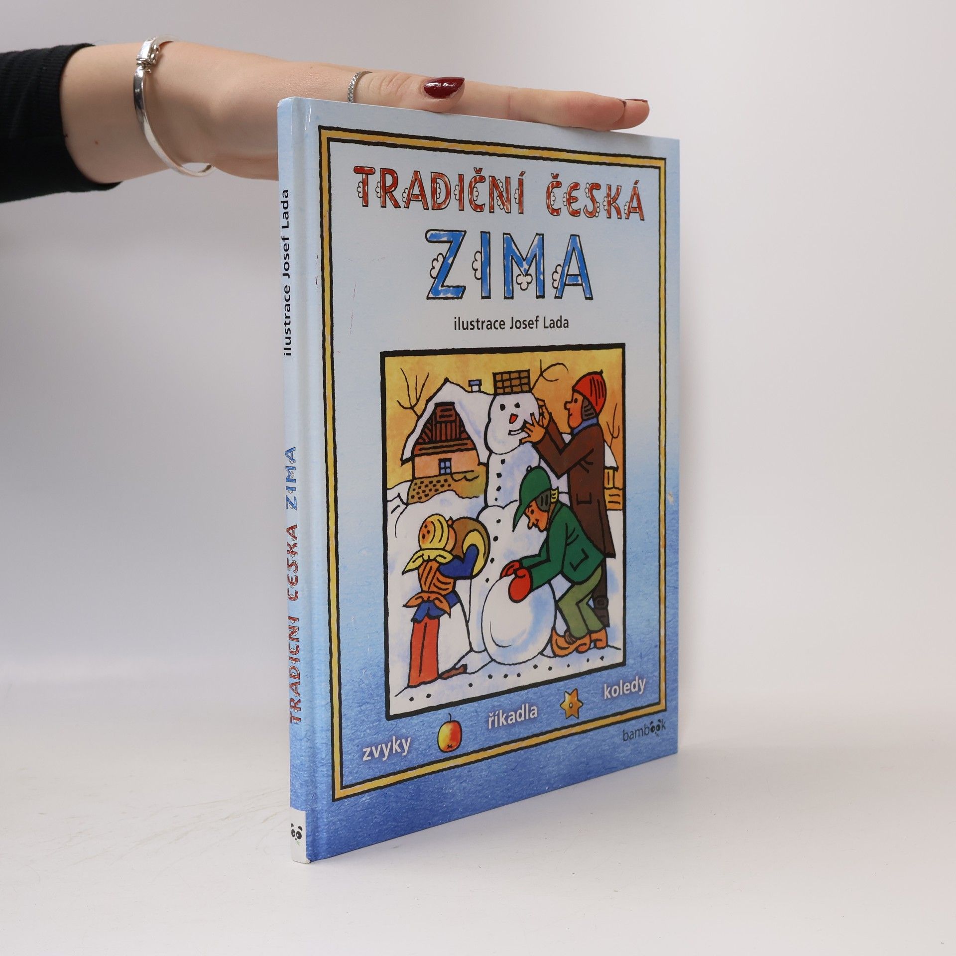 Tradiční česká zima