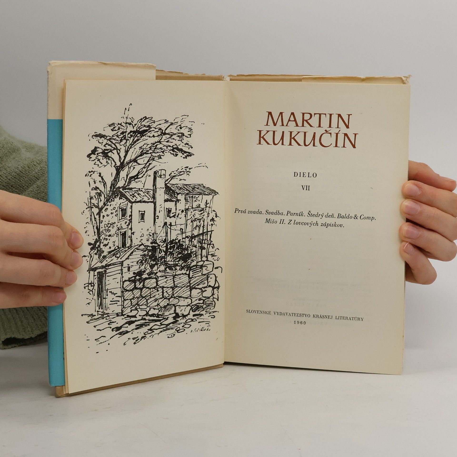 Martin Kukučín Bračské motívy