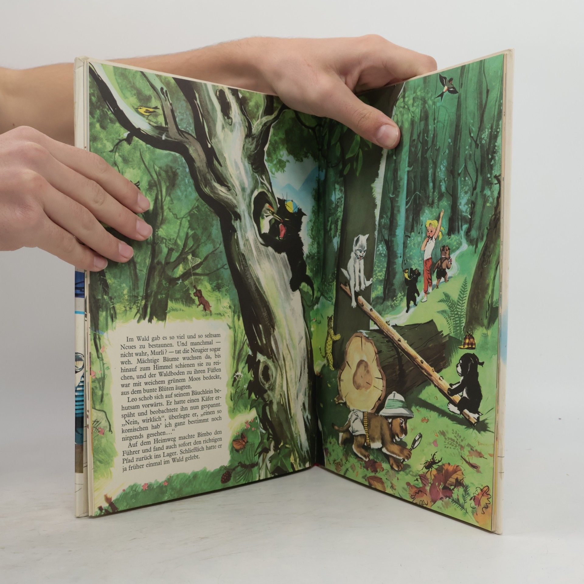 Pierre Probst Stupsi und ihre Freunde im Ferienlager