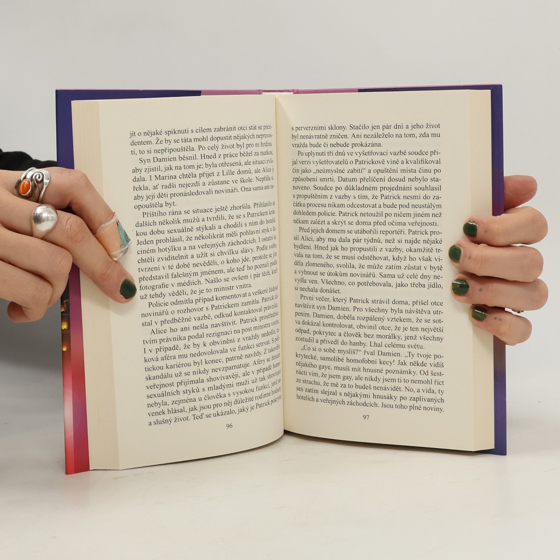 Danielle Steel Komplikace