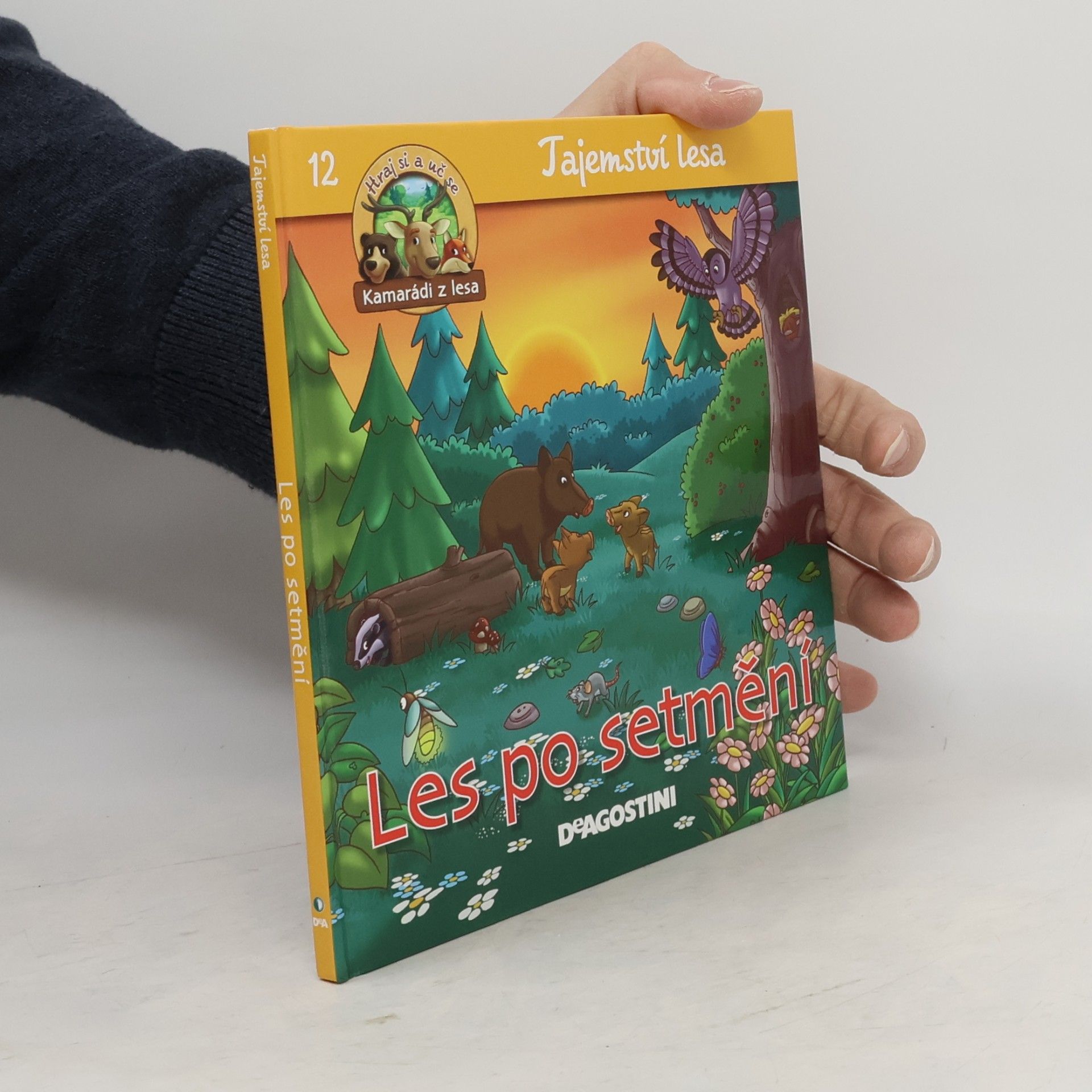 Miluše Rysová Tajemství lesa 12. Les po setmění