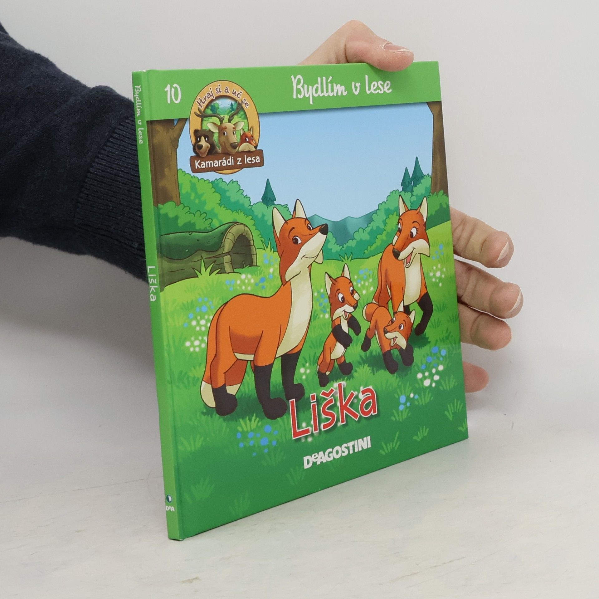 Miluše Rysová Liška 10