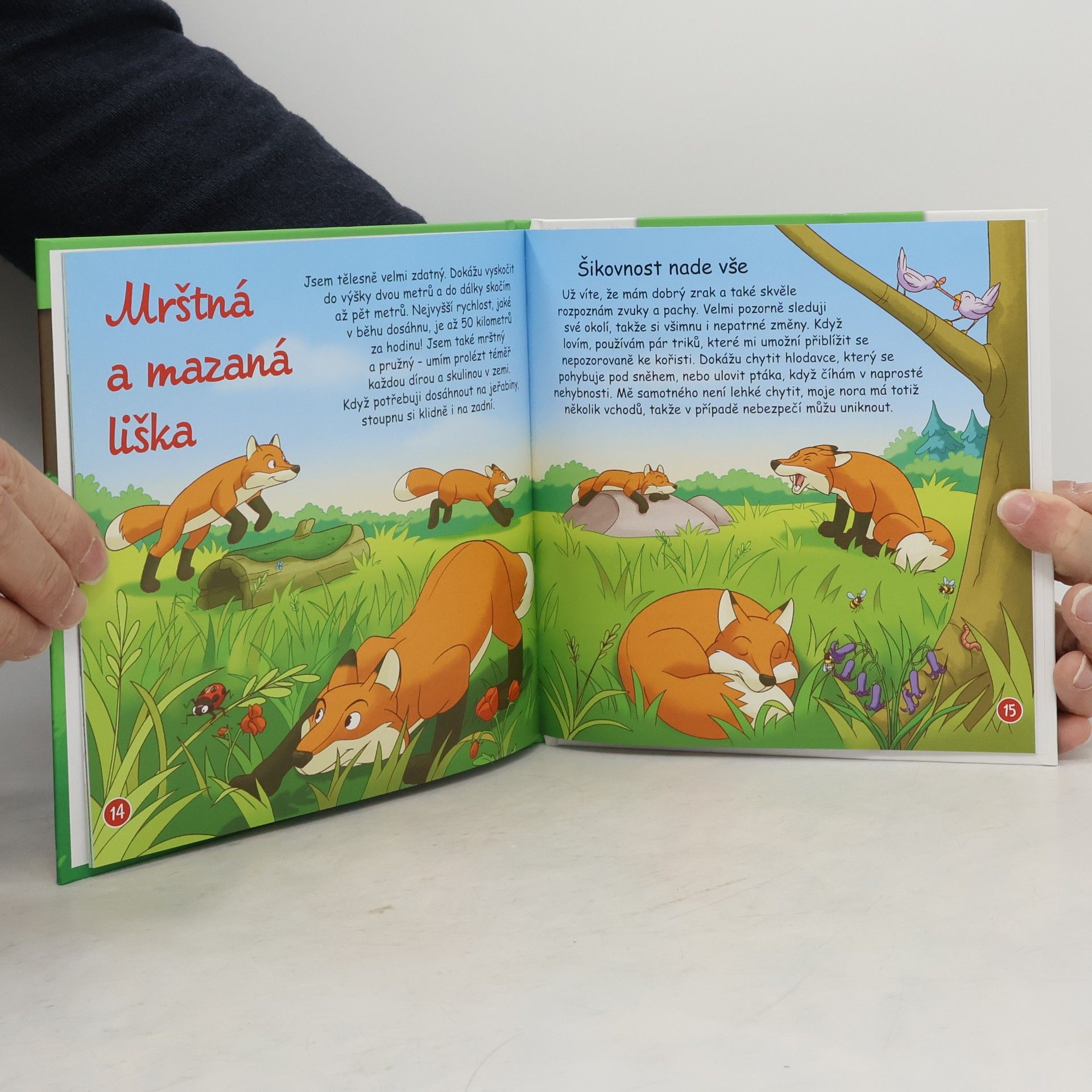 Miluše Rysová Liška 10