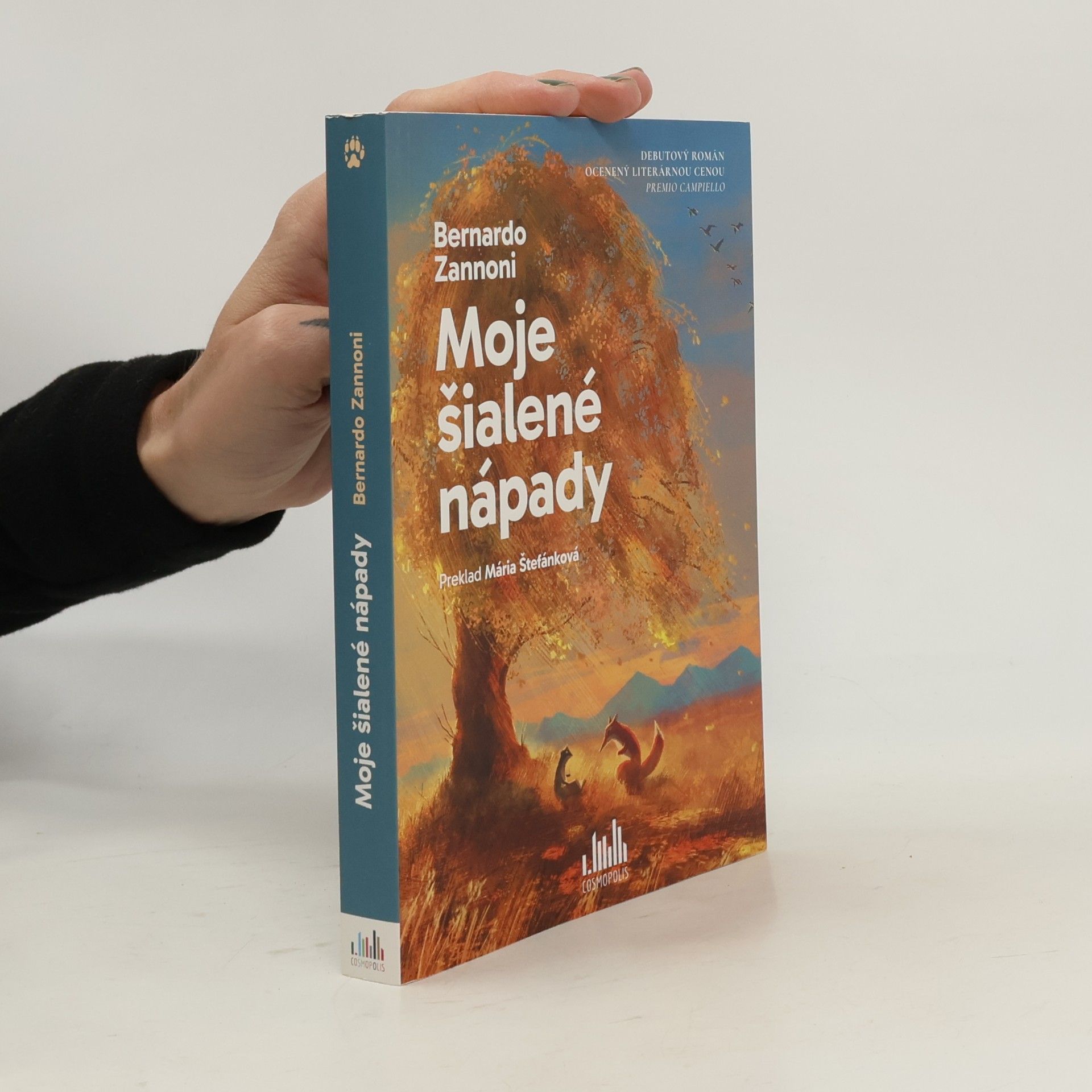Bernardo Zannoni Moje šialené nápady