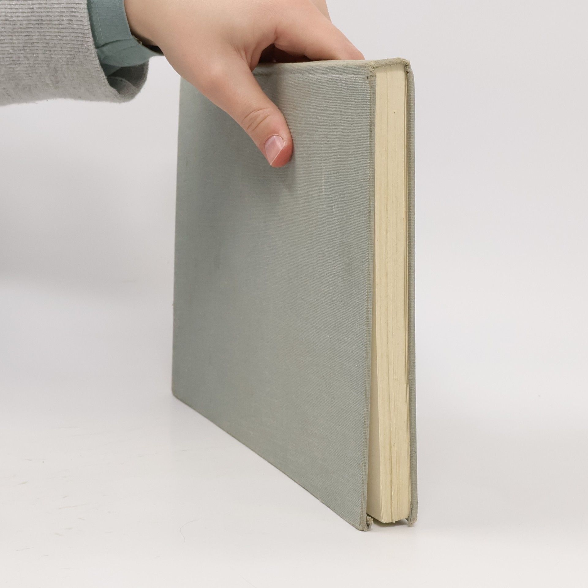 E. G. Leffelaar Compendium Oefentherapie II