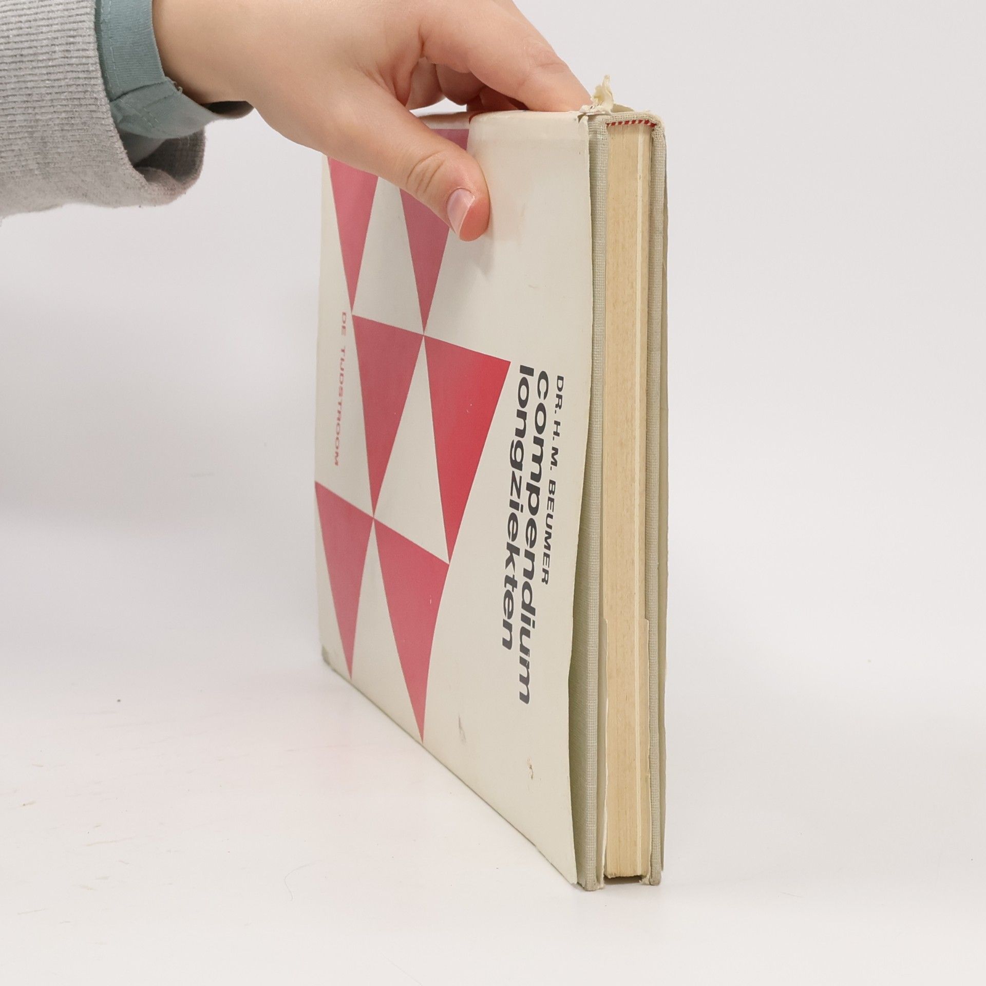 H. M. Beumer Compendium Longziekten