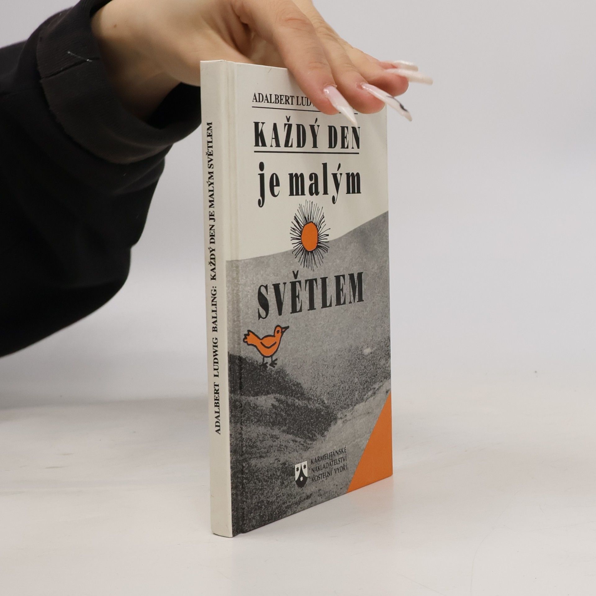 Každý den je malým světlem : myšlenky světla a radosti