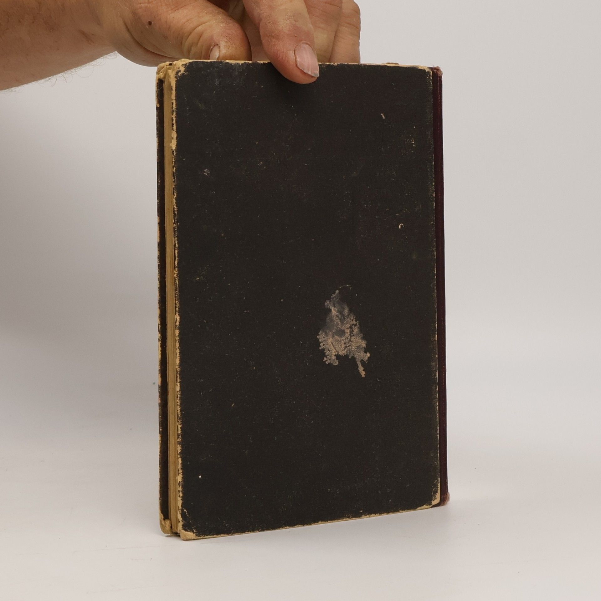 Josef Werfer Tiergeschichten