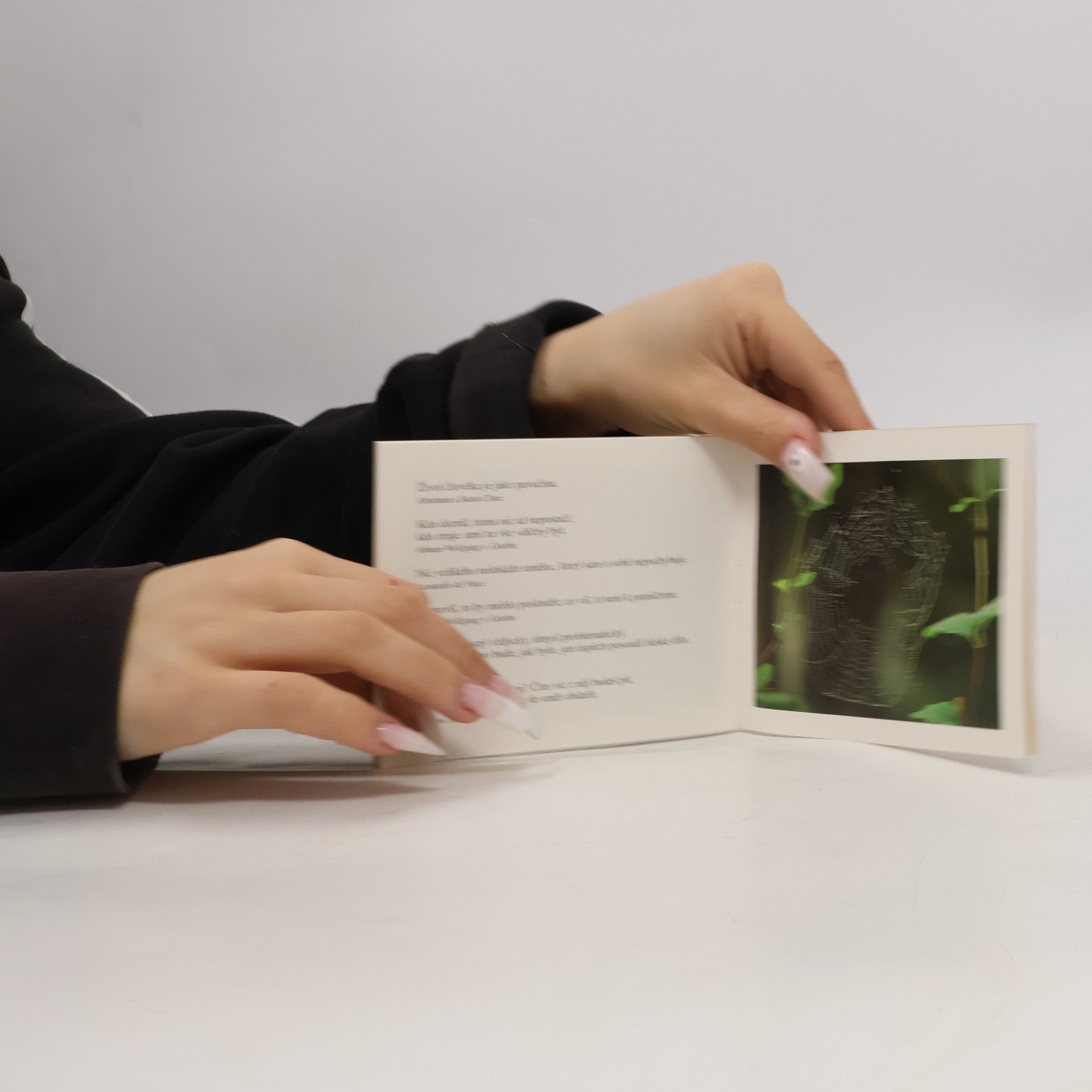 Autorenkollektiv Životní moudrost