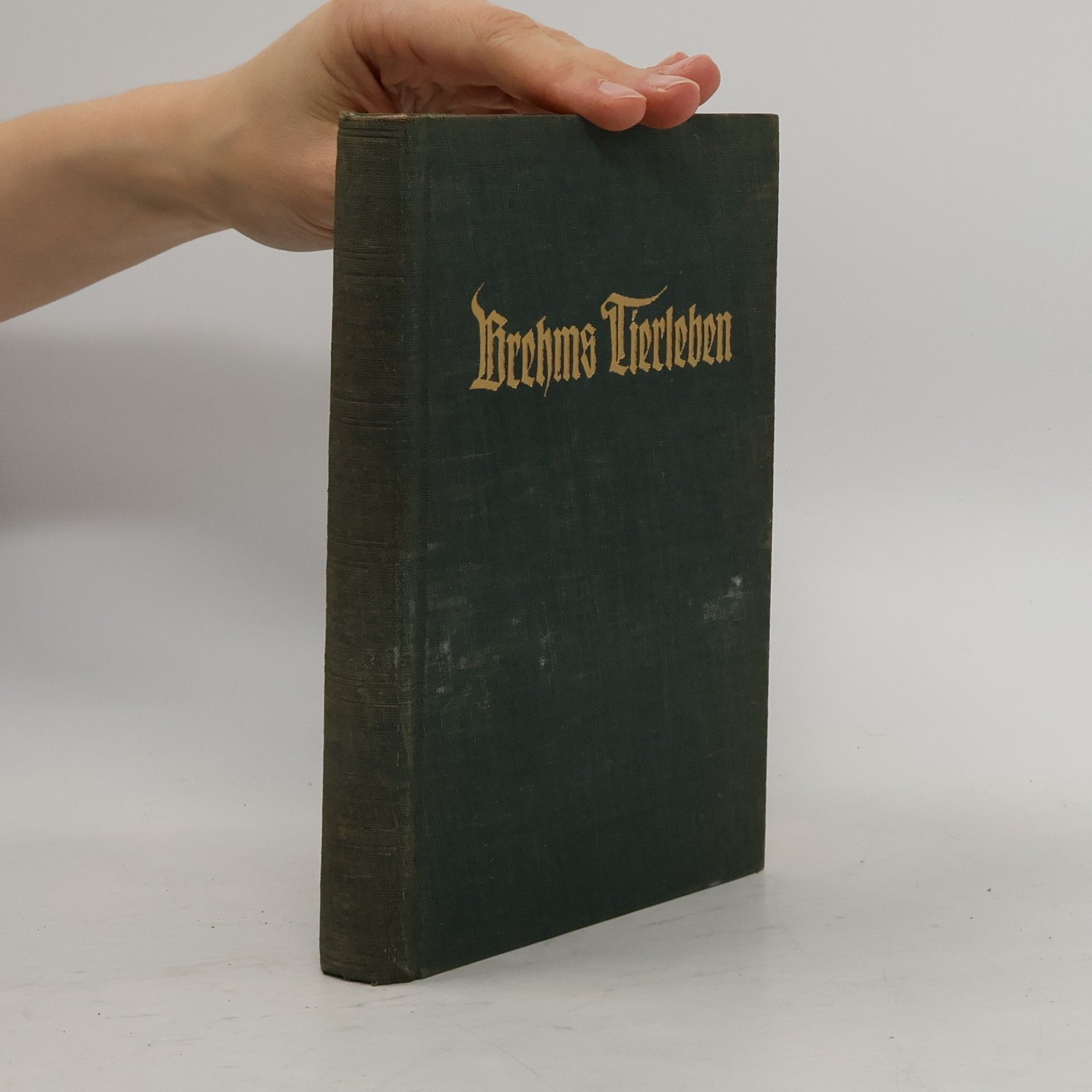 Brehms Tierleben 11. Sirenen und Wale