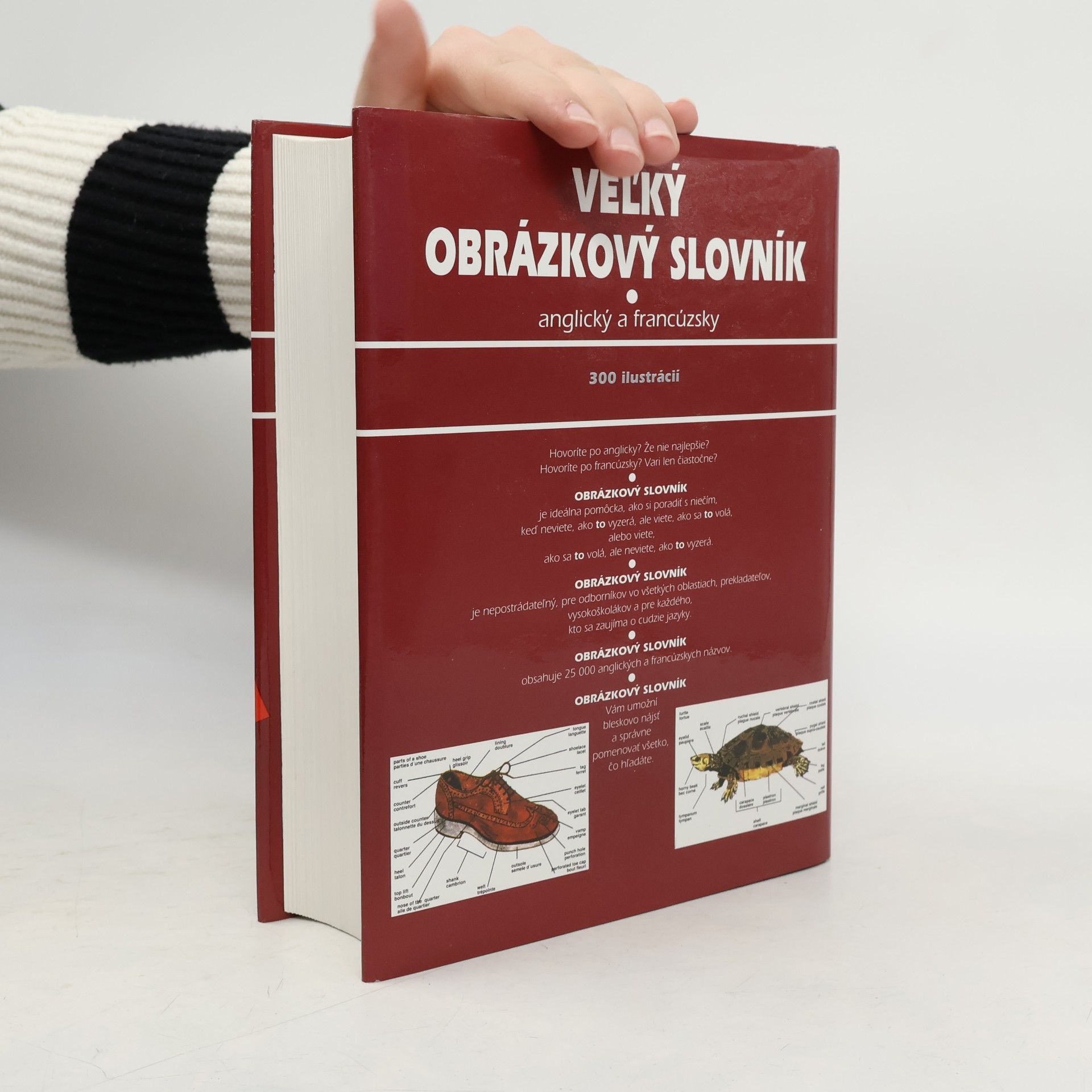 Ariane Archambault Velký obrázkový slovník: Anglický a francouzský