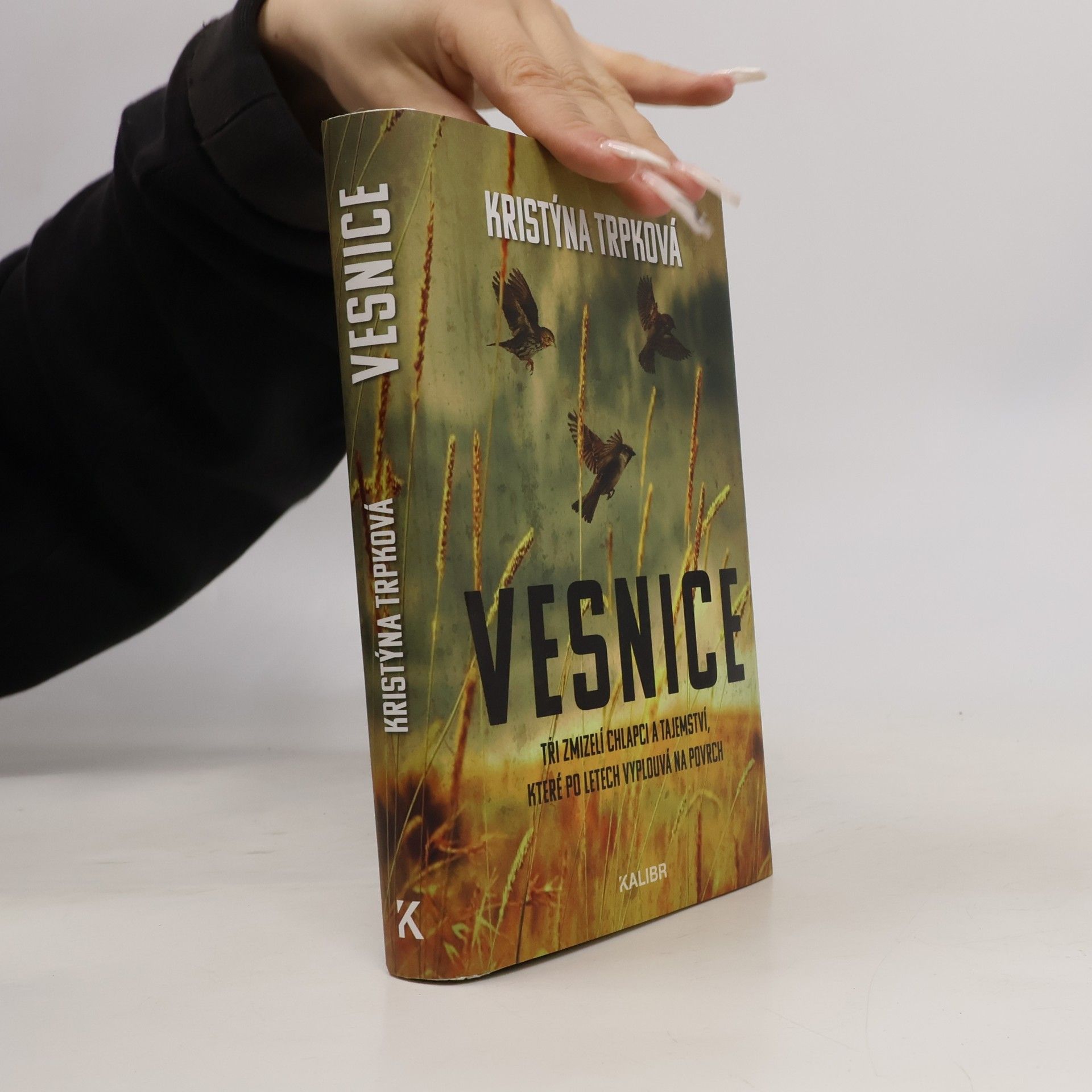 Vesnice