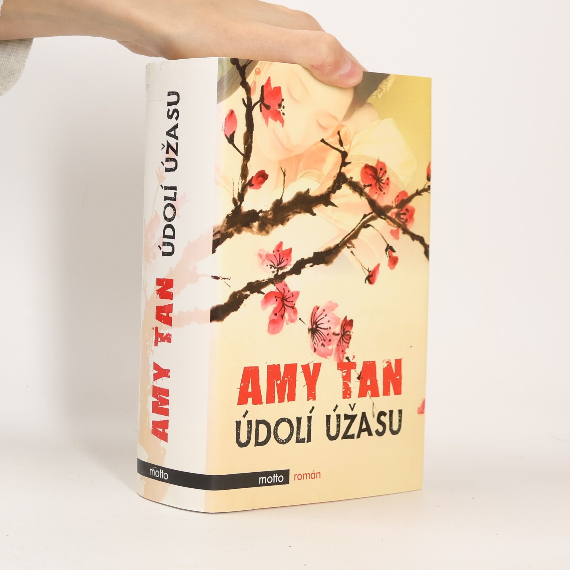 Amy Tan Údolí úžasu