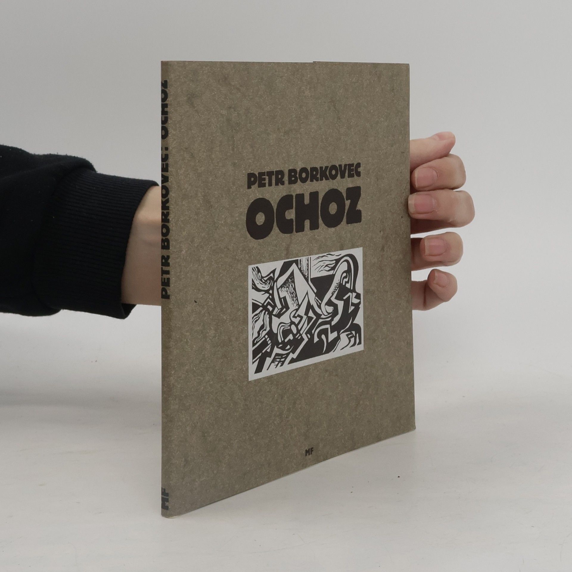 Ochoz
