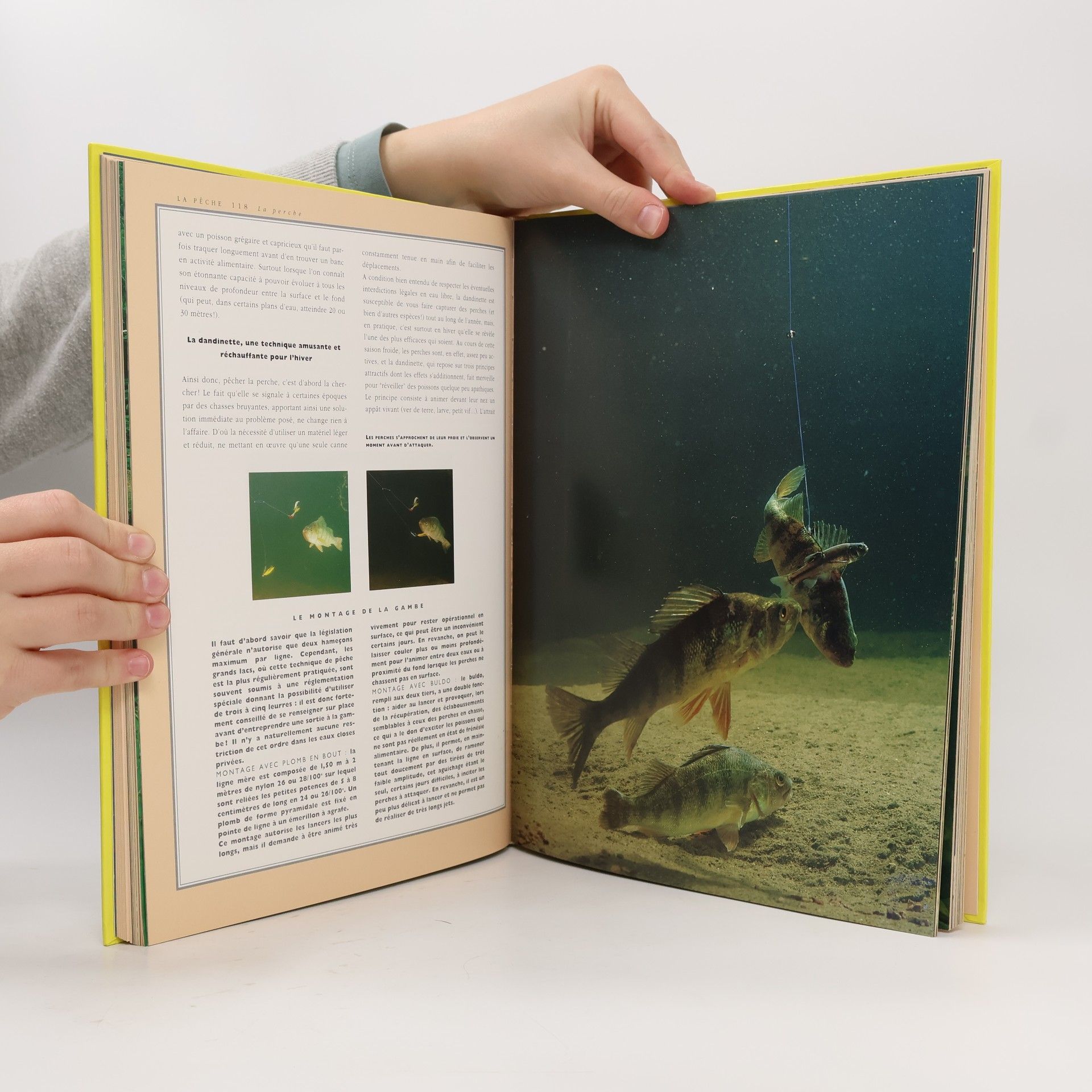 Various authors La Pêche et ses techniques