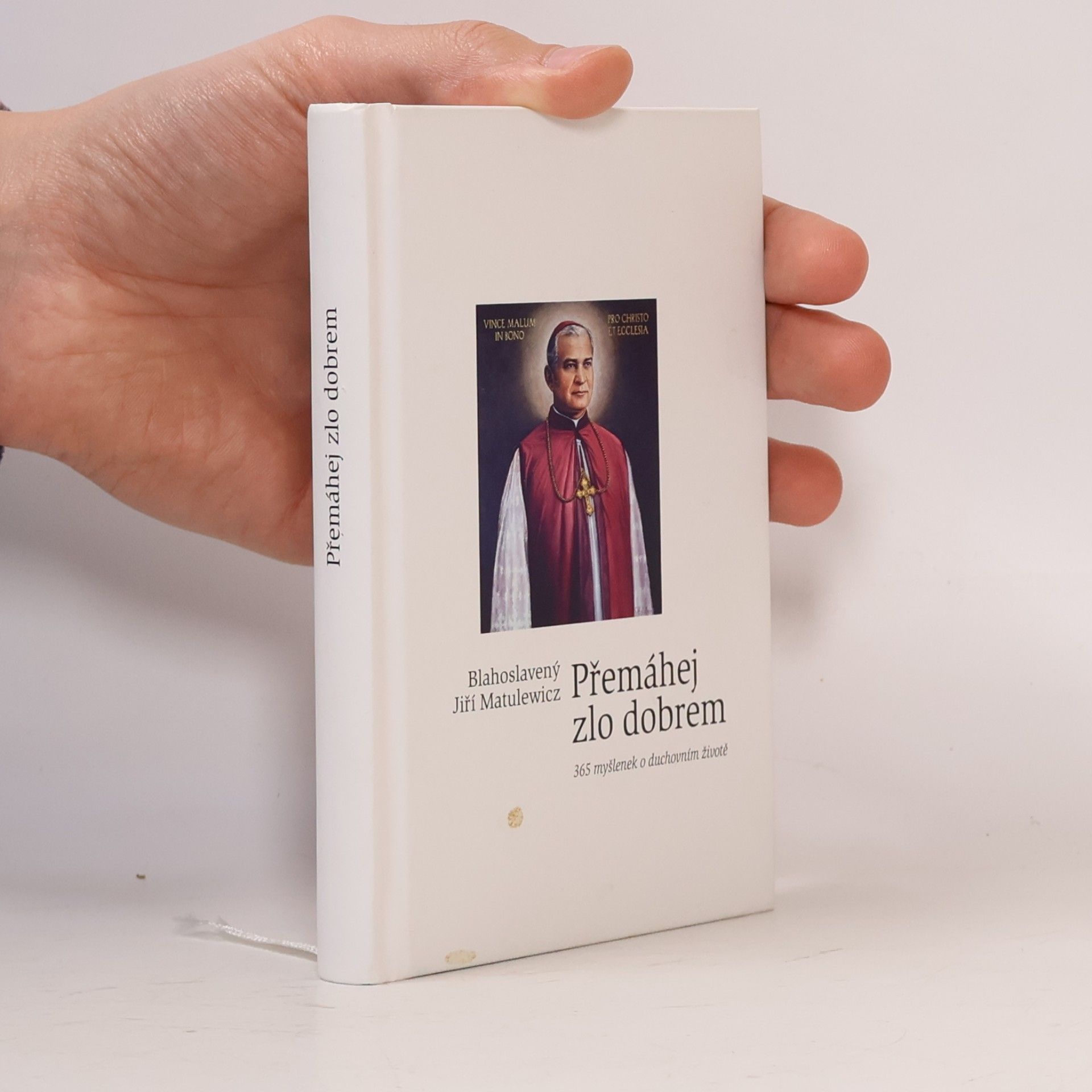 Přemáhej zlo dobrem - 365 myšlenek o duchovním životě