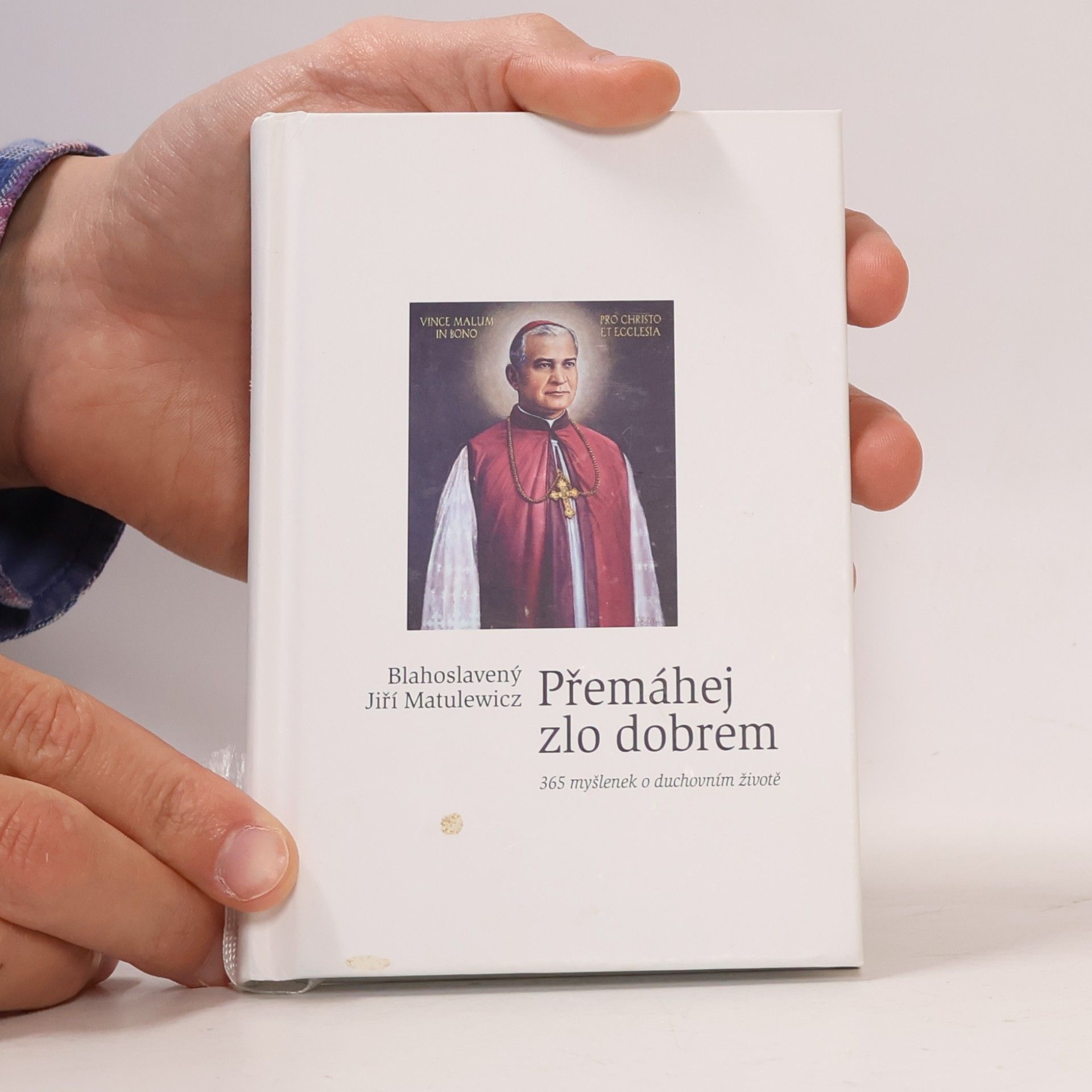 Jurgis Matulaitis Matulevičius Přemáhej zlo dobrem - 365 myšlenek o duchovním životě