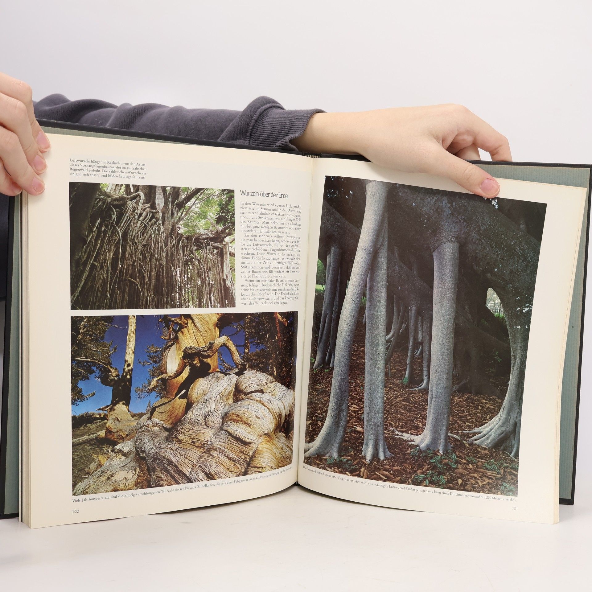 Autores varios Der Planet Erde. Wälder