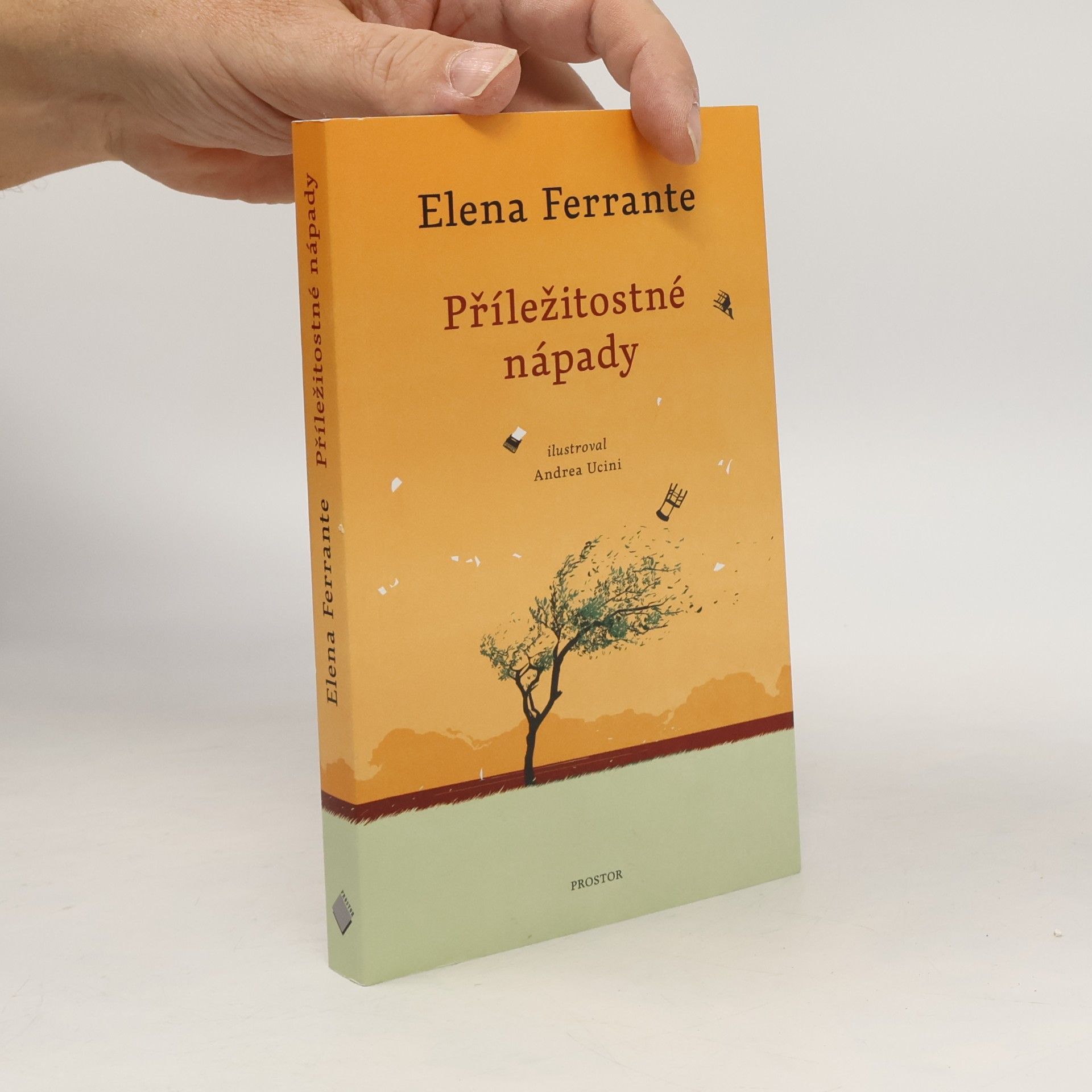 Elena Ferrante Příležitostné nápady
