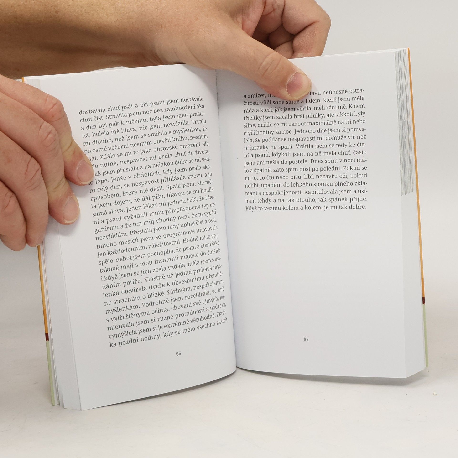 Elena Ferrante Příležitostné nápady