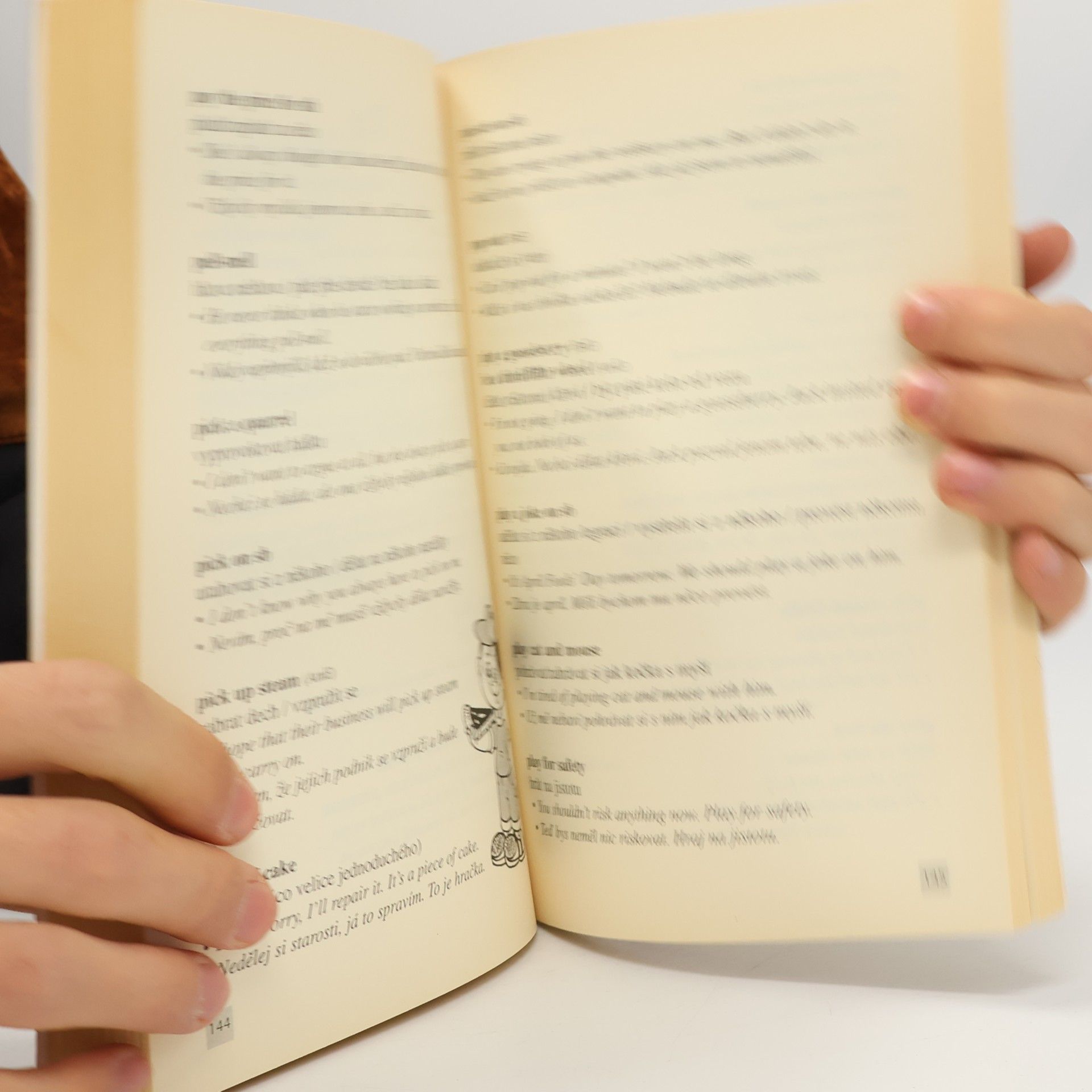 Hana Rebeková Idiomy a ustálená spojení v angličtině / English Idioms and Phrases