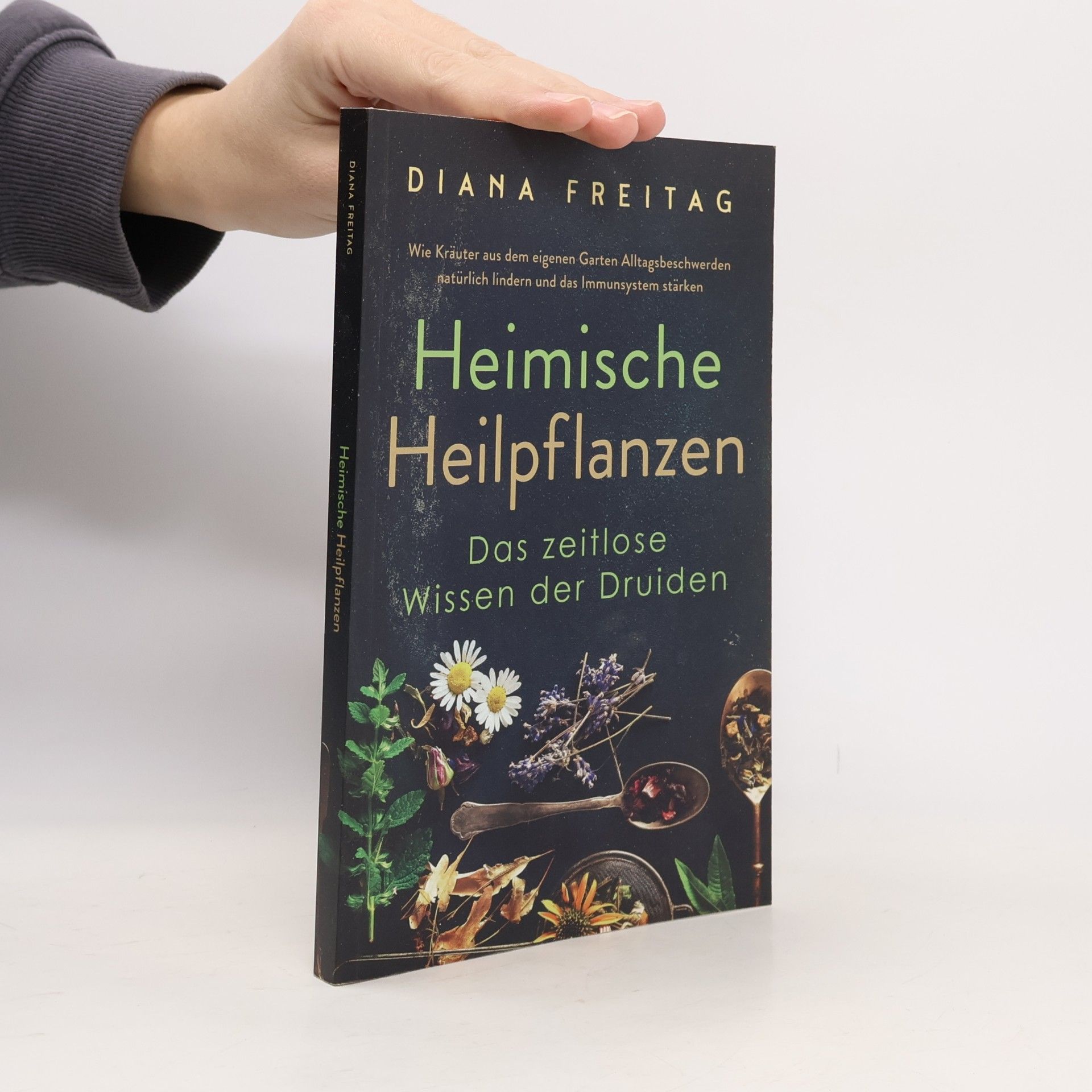 Heimische Heilpflanzen - Das zeitlose Wissen der Druiden